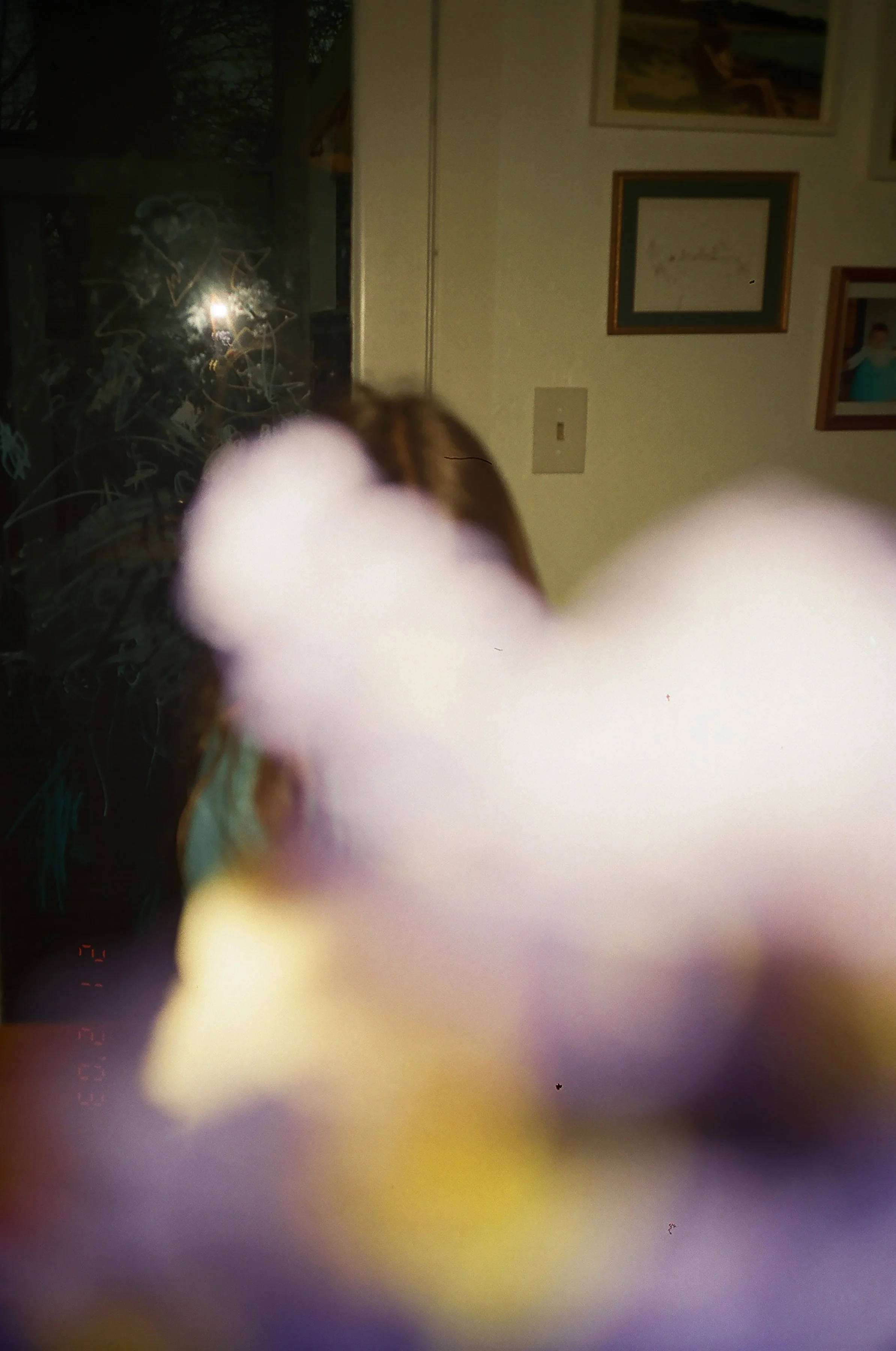 51520036.jpg