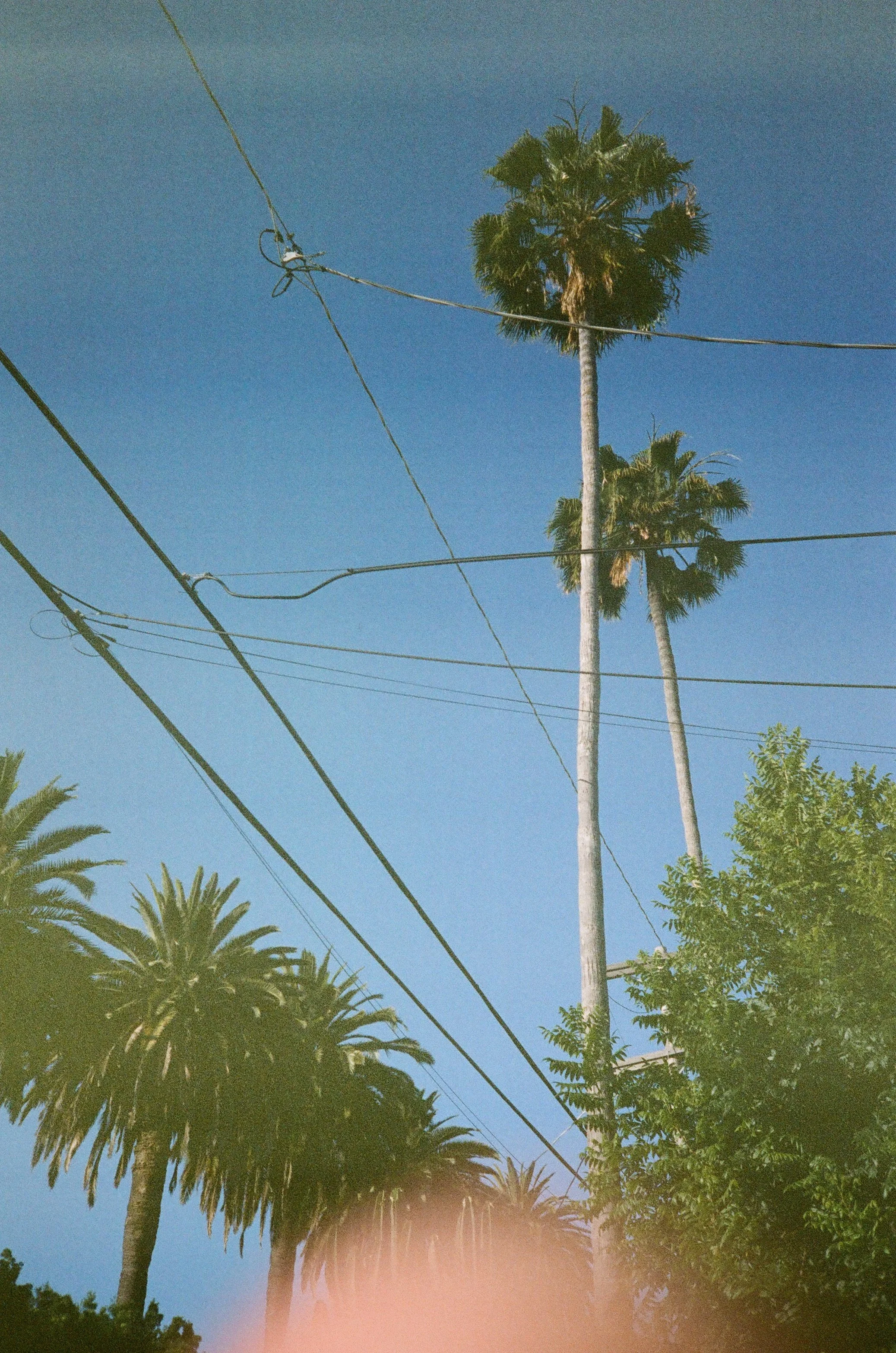 000087230022.jpg