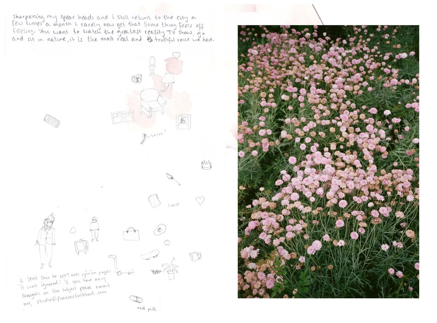12.illustration.jpg