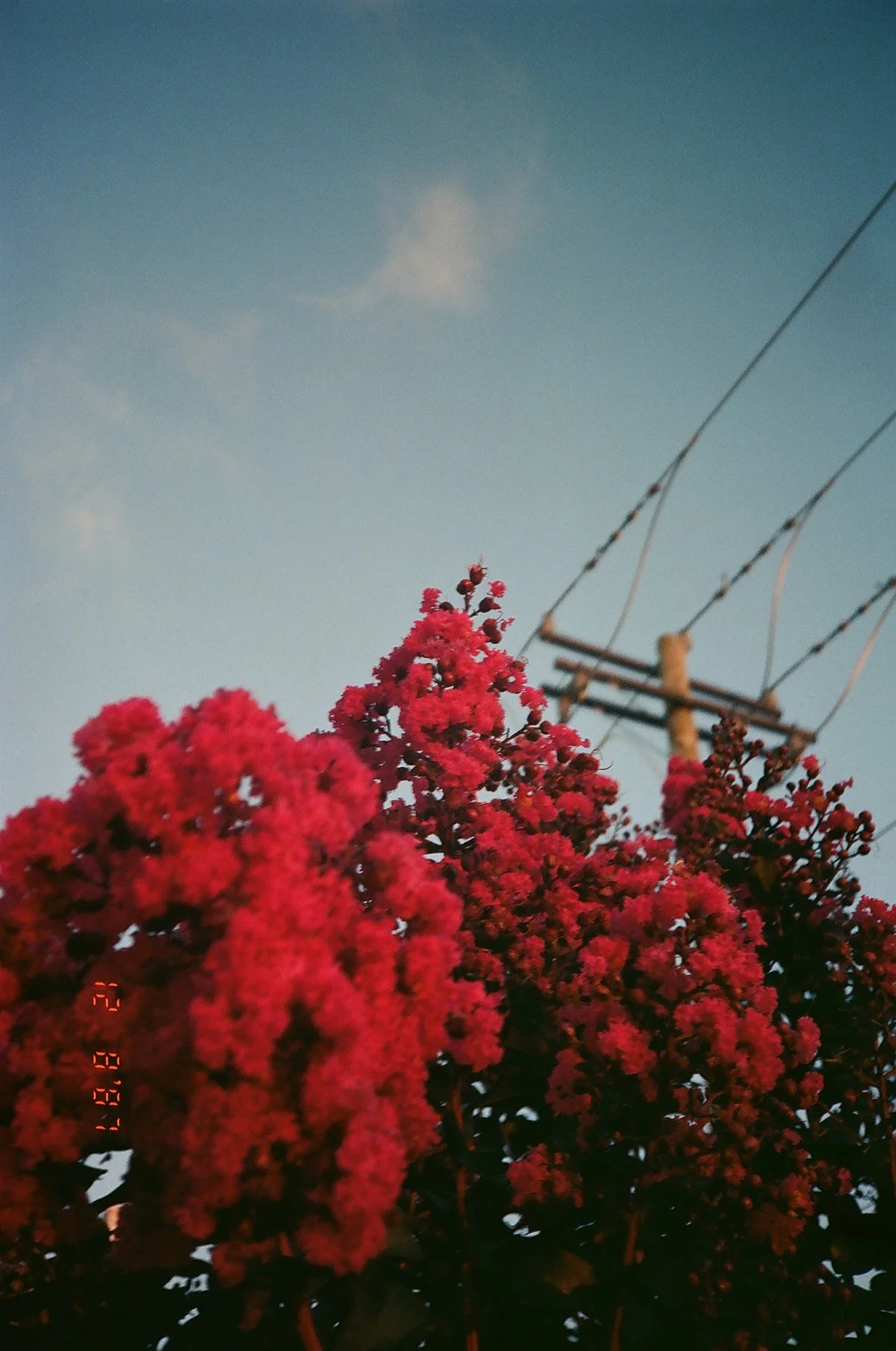 12870010LR.jpg
