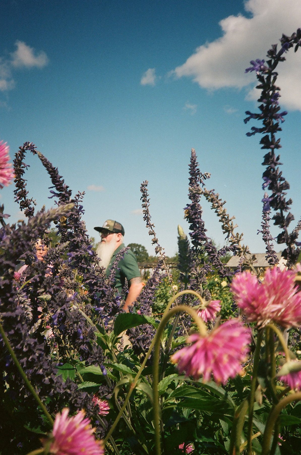 Flowers and feelings