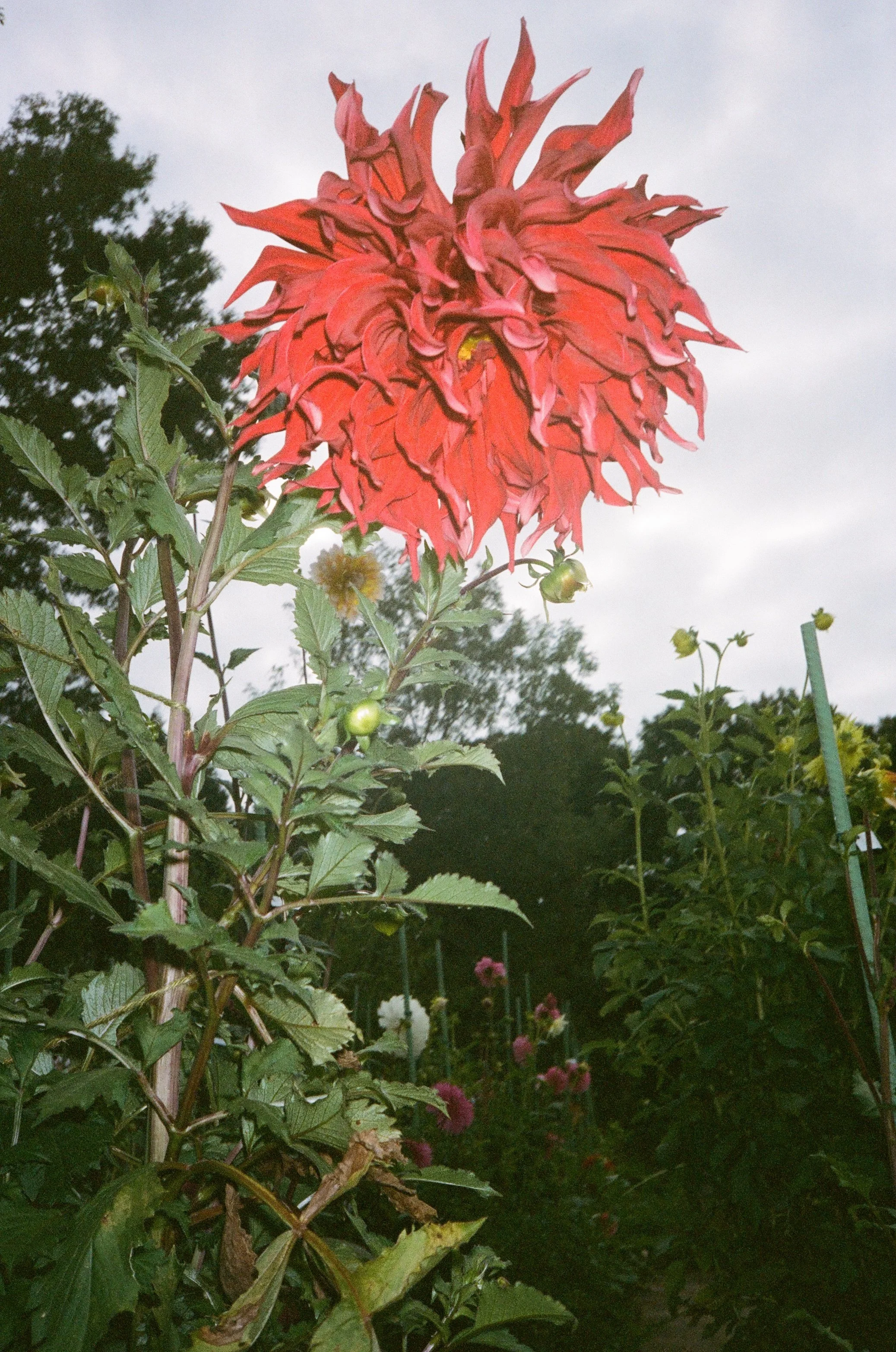 000092100002.jpg