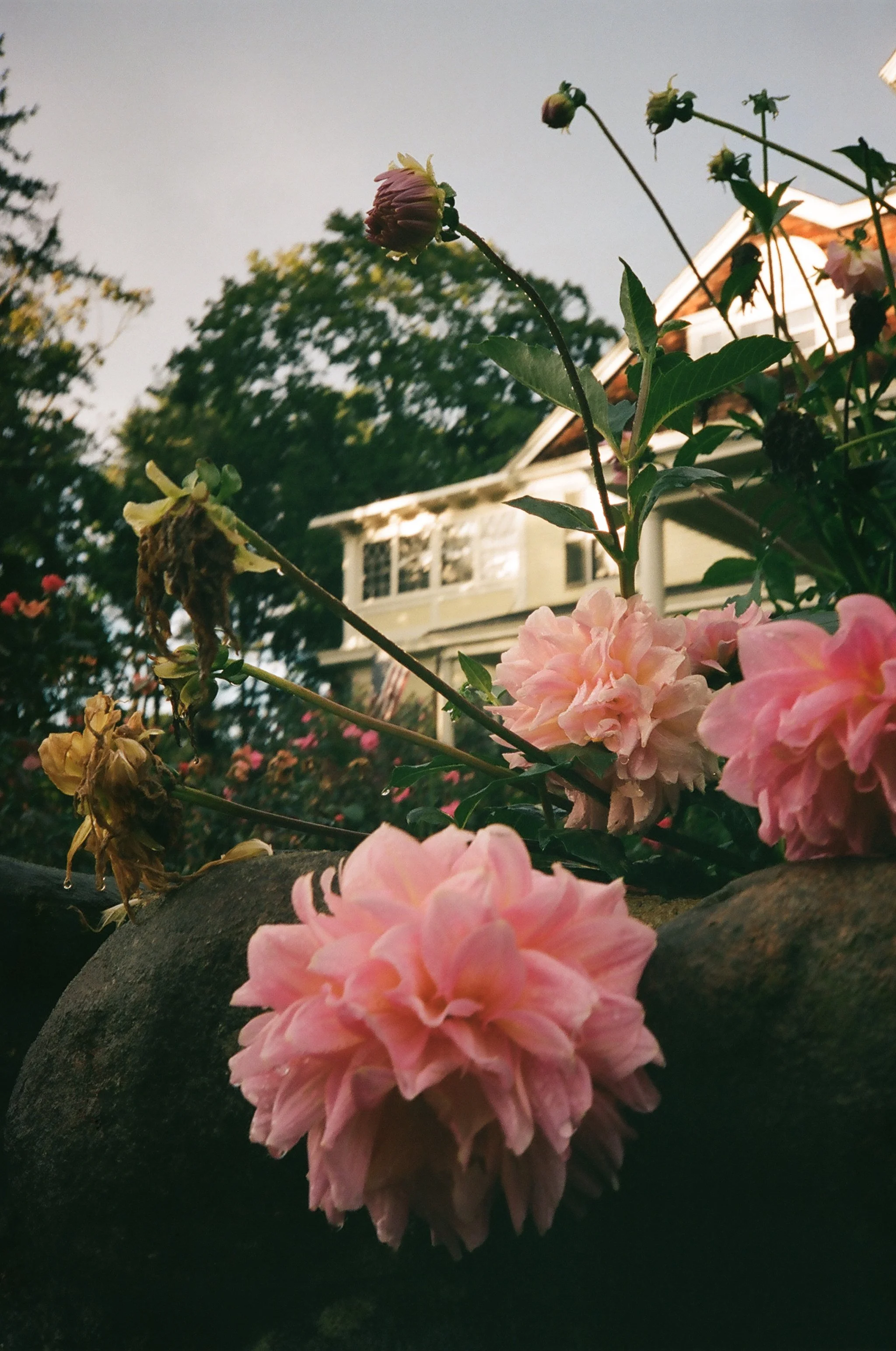 09.04630016R.jpg