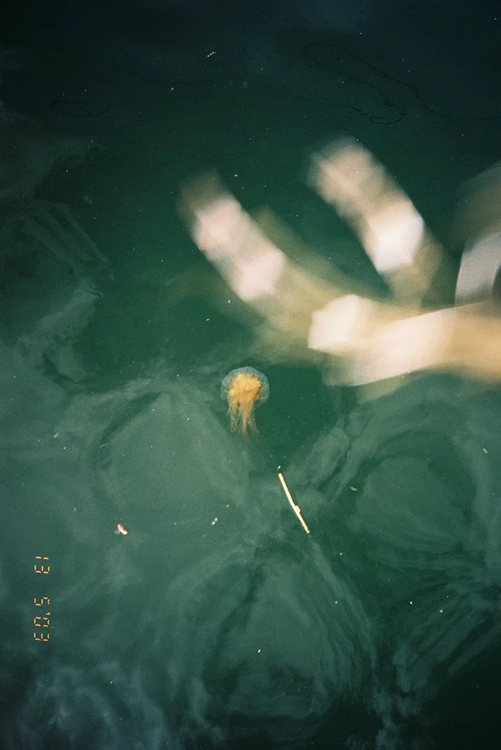 web01.Watching Jelly Fish with Dotti.jpg