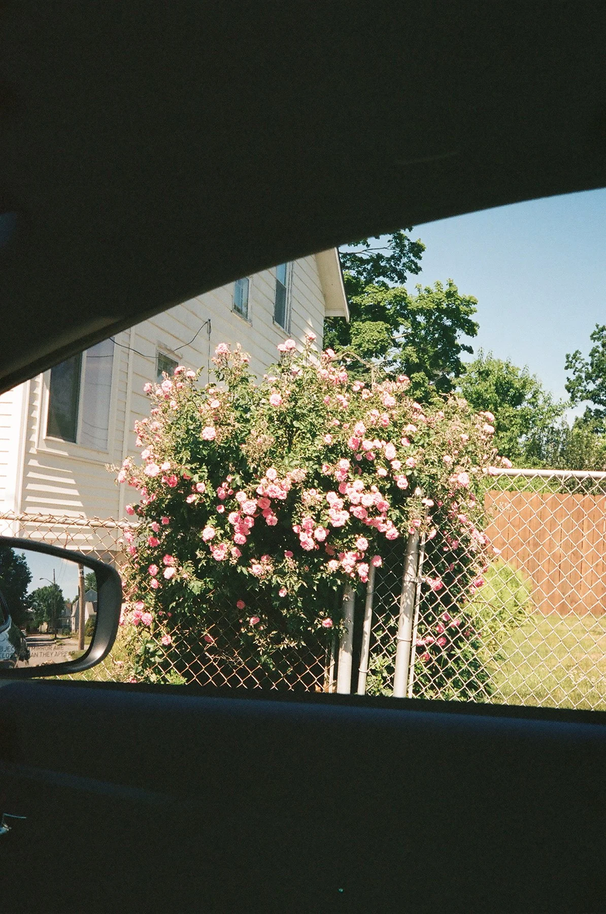 19710015LR.jpg