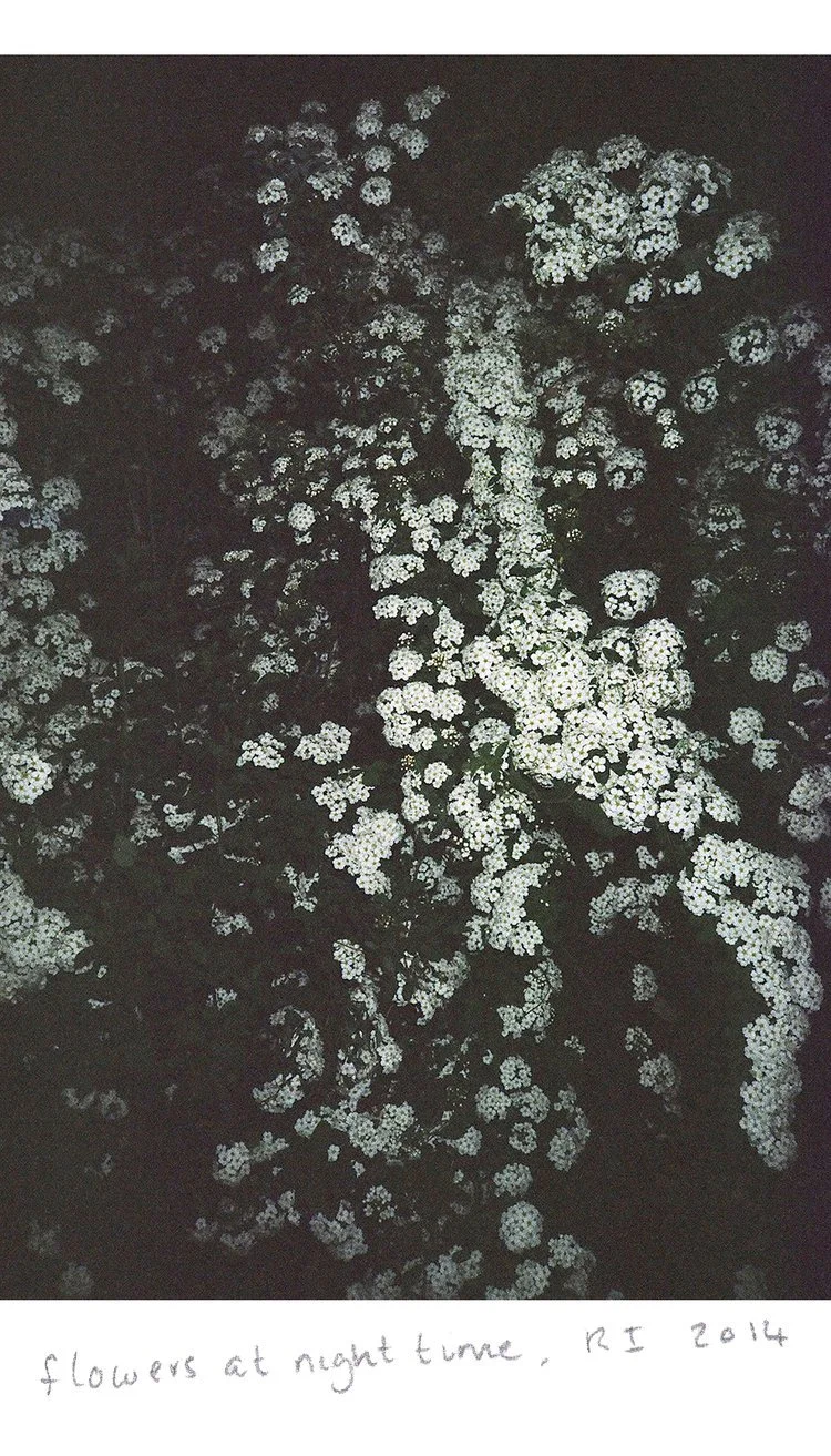 6x9flowers6x9contrast53560027frannyweb.jpg