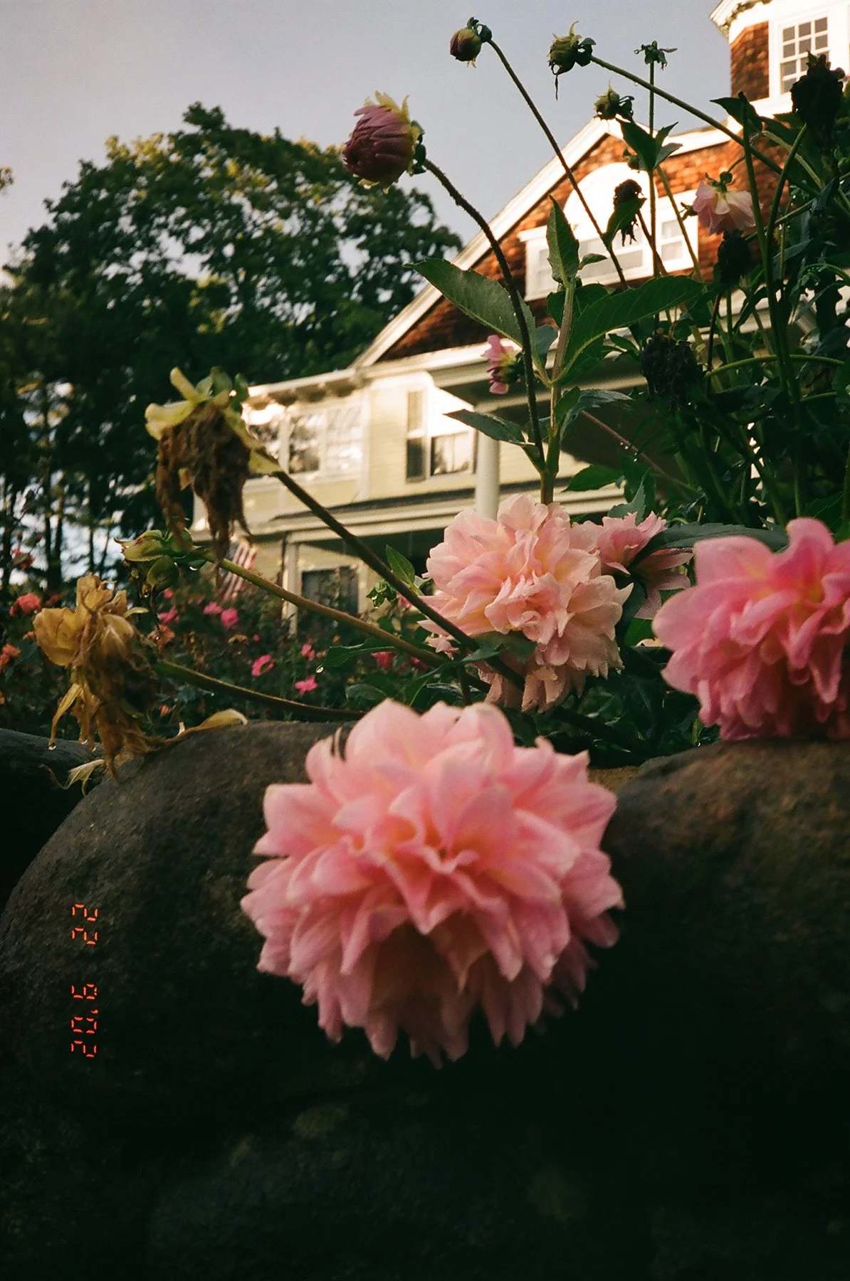 04630017LR.jpg