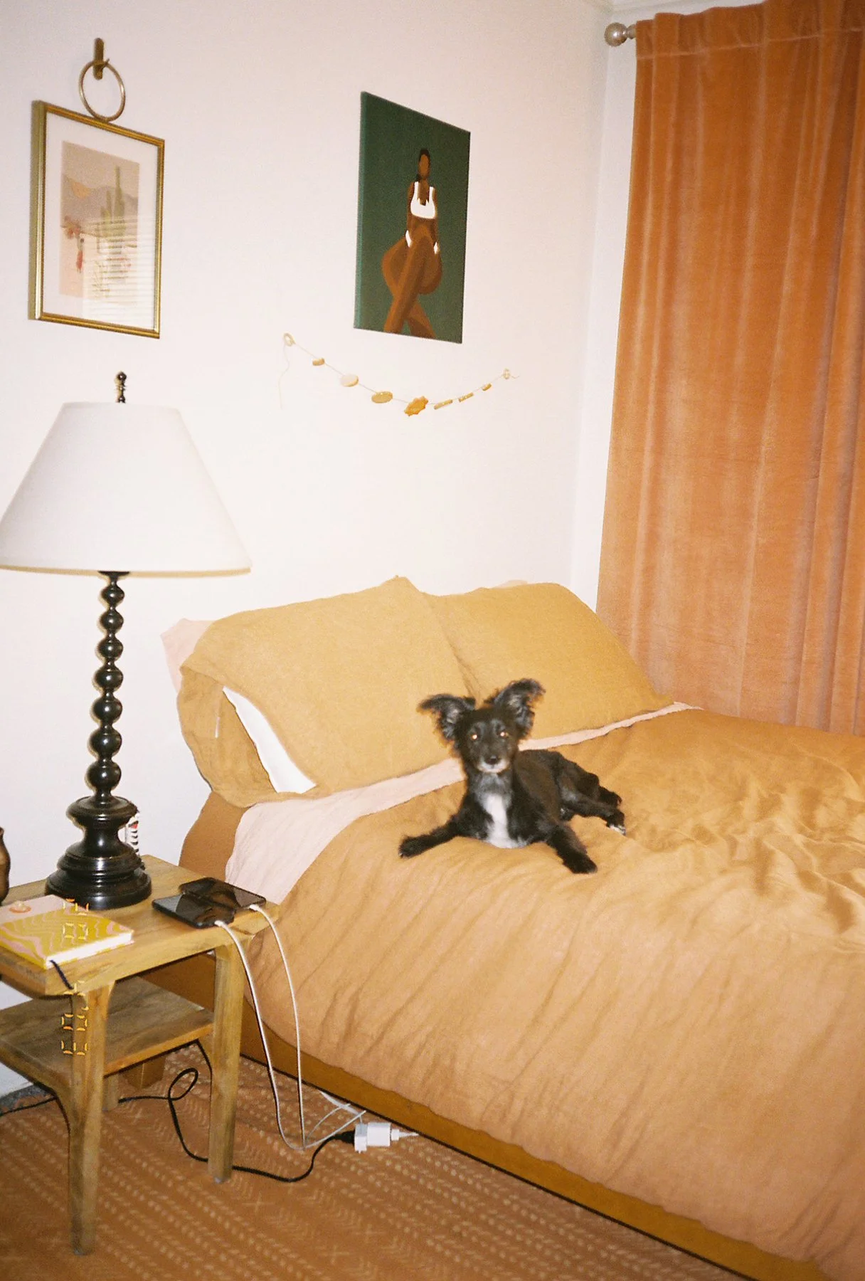web4.Aa22505_Aa22505-R1-072-34A.jpg