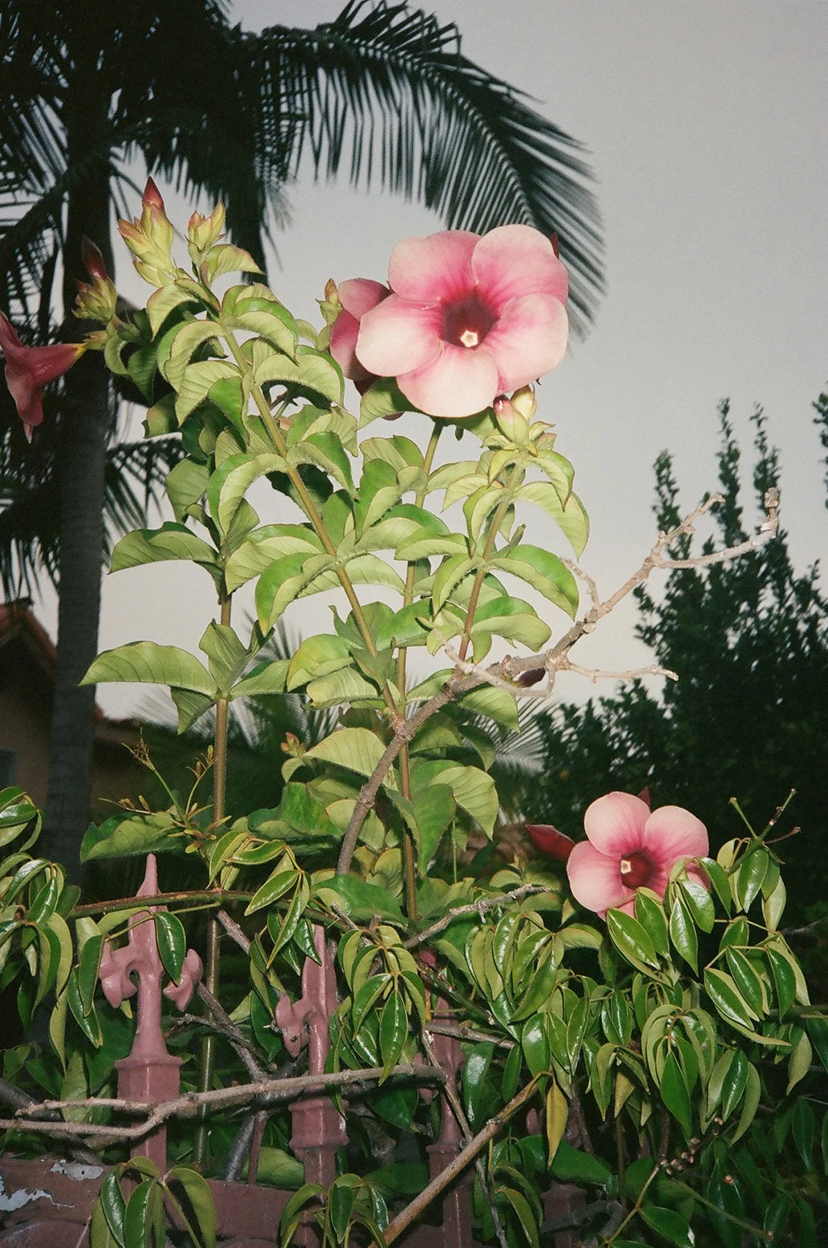 21.web64550023LR.jpg
