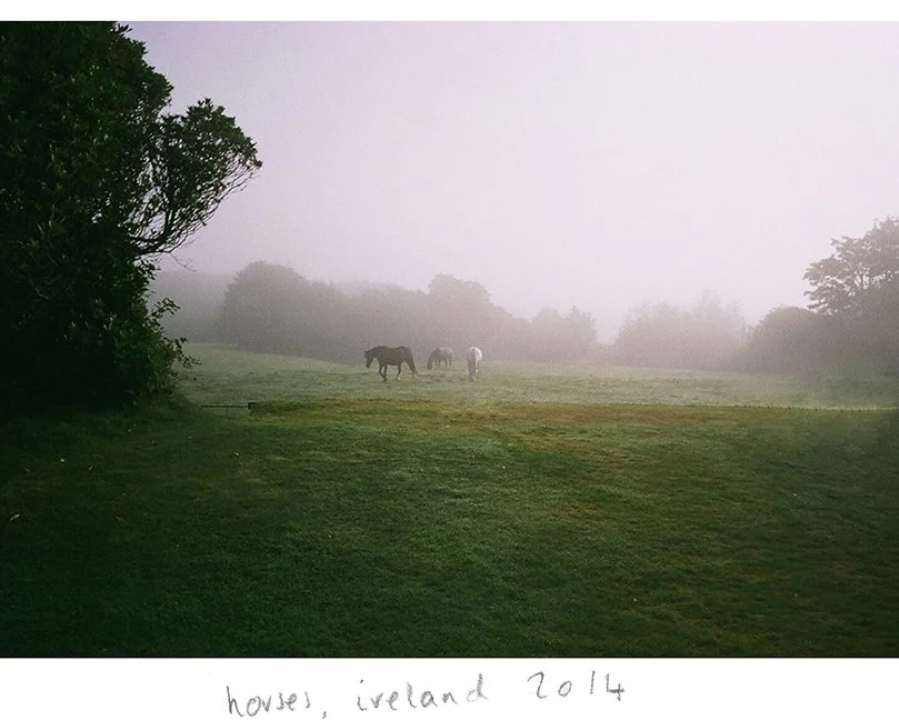 landscape91490025frannyweb.jpg