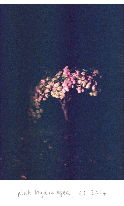 11x14insta37690018.jpg
