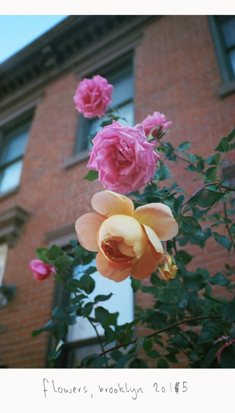 flowers.jpg