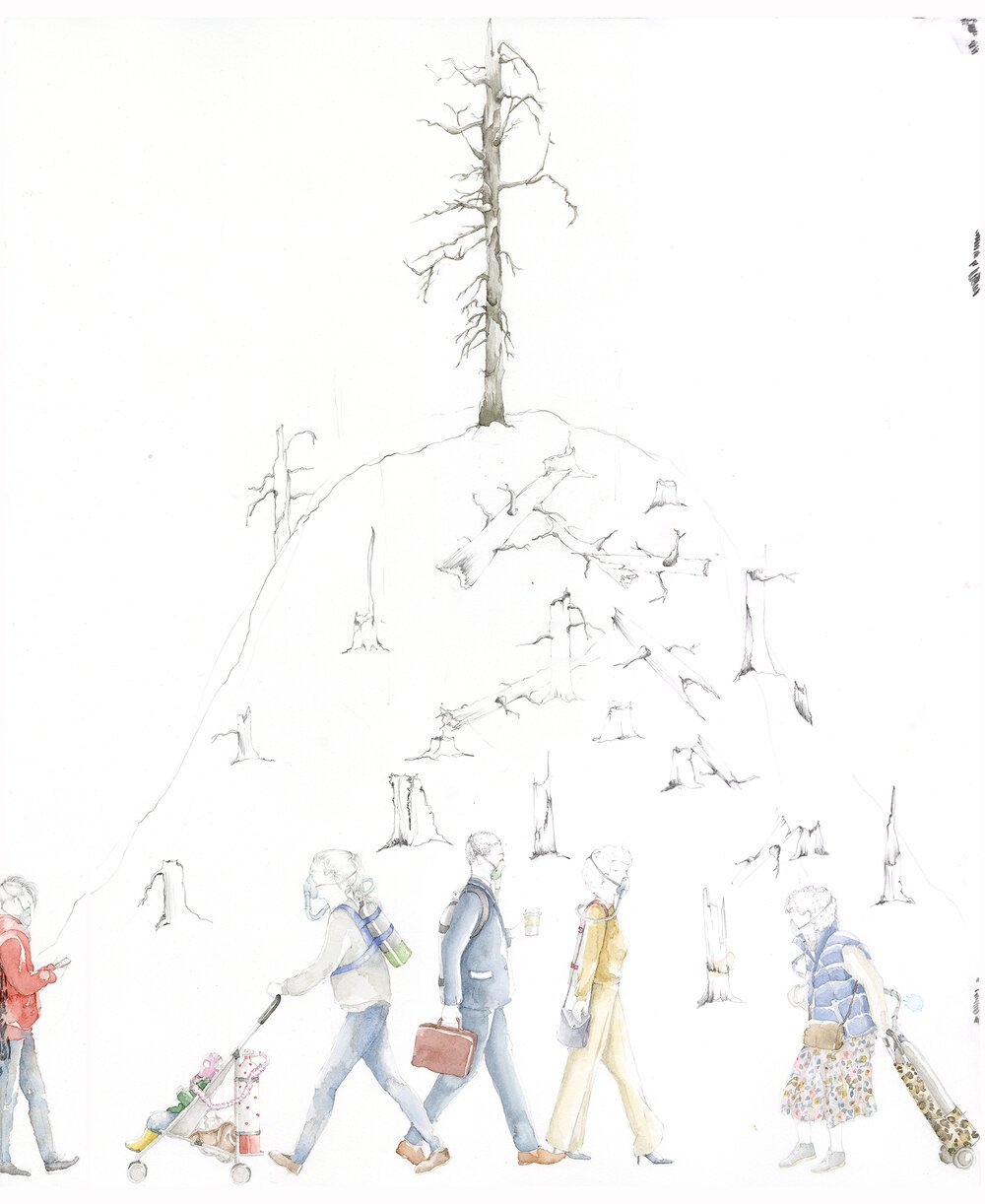 web1A.DeforestationFTH.jpg