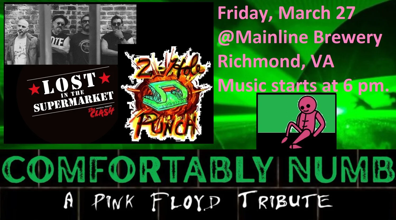 Comfortably numb Pink Floyd Tribute Band