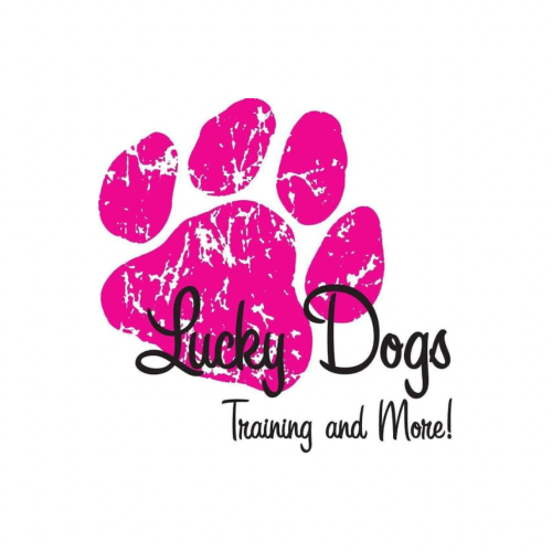 Lucky Dog Training Class