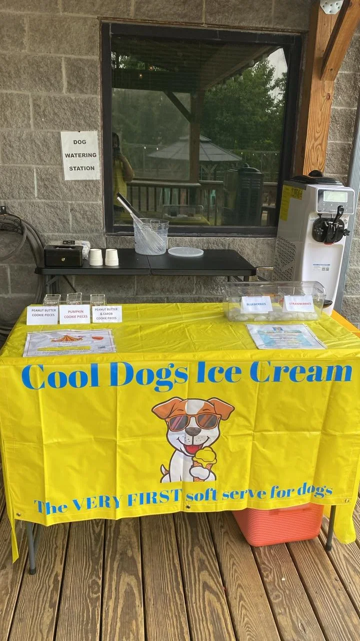Cool Dogs Ice Cream and Treats