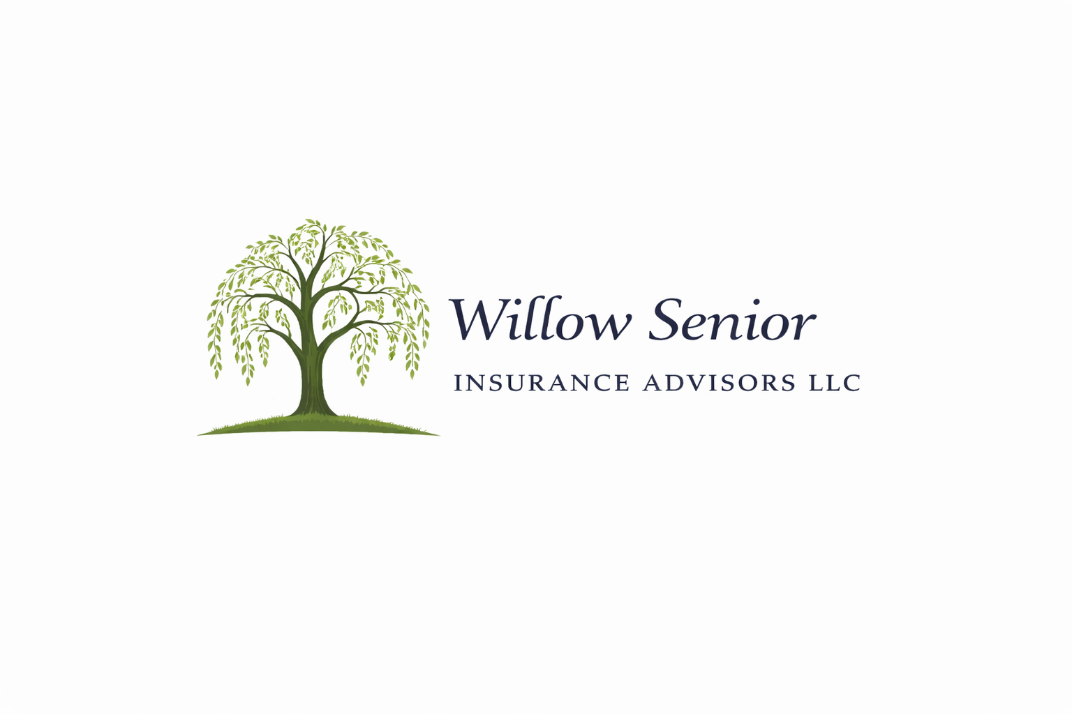 Logo for Willow Senior Insurance Advisors LLC featuring a green weeping willow tree and the company name.