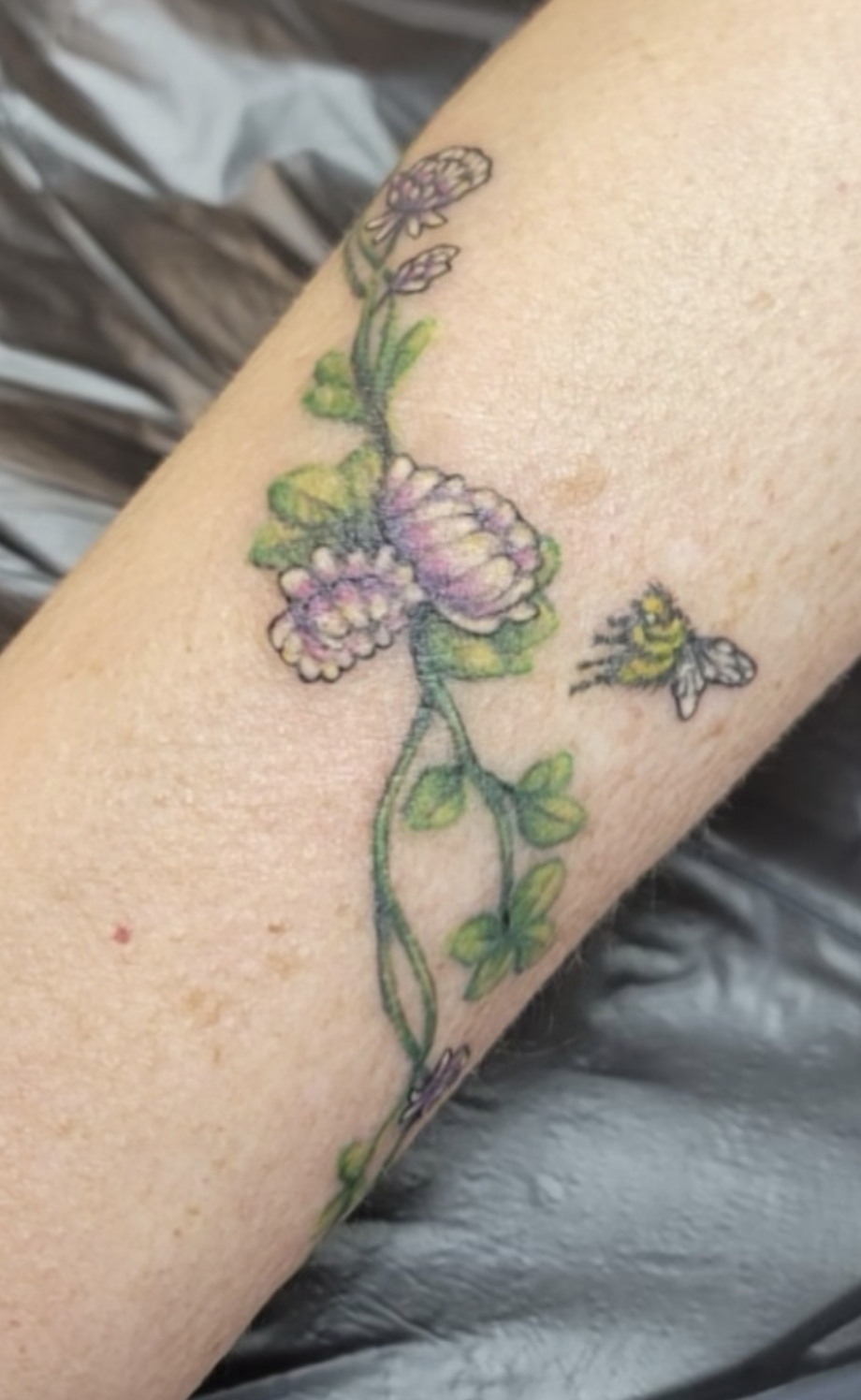 Screenshot 2024-05-31 at 2.44.56 PM.png