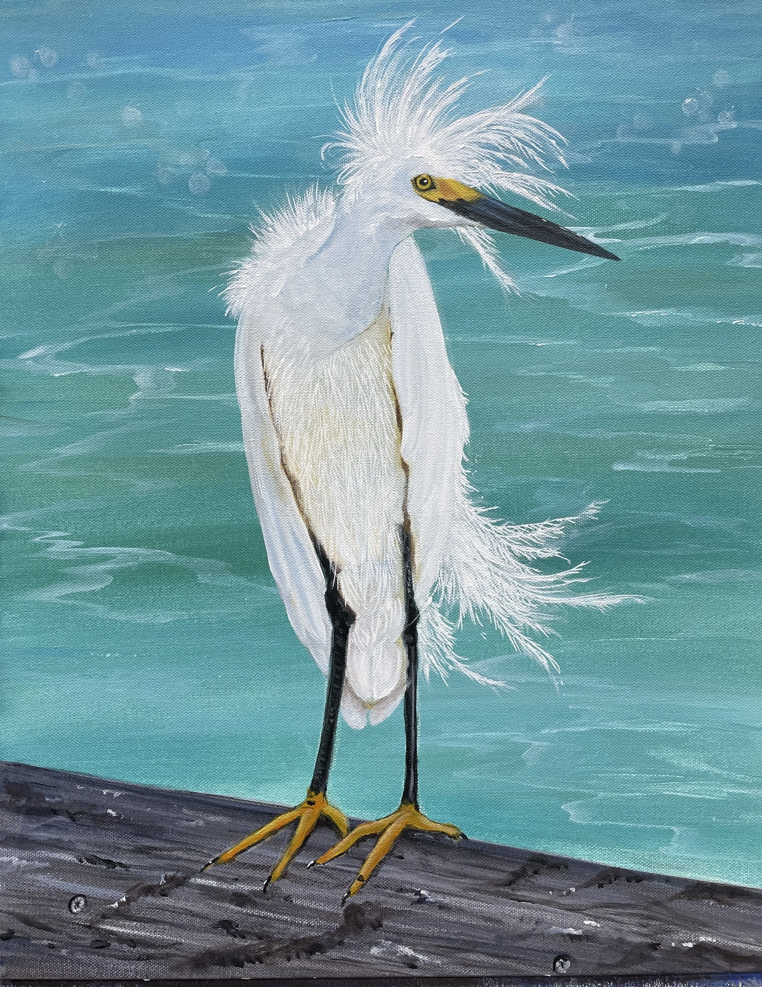 "Fred"
16x20
acrylic
$850