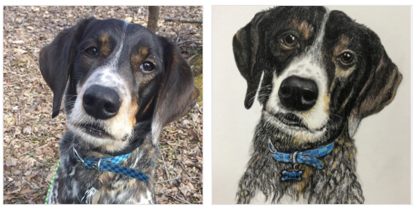 Screen Shot 2021-10-11 at 1.35.44 PM.png