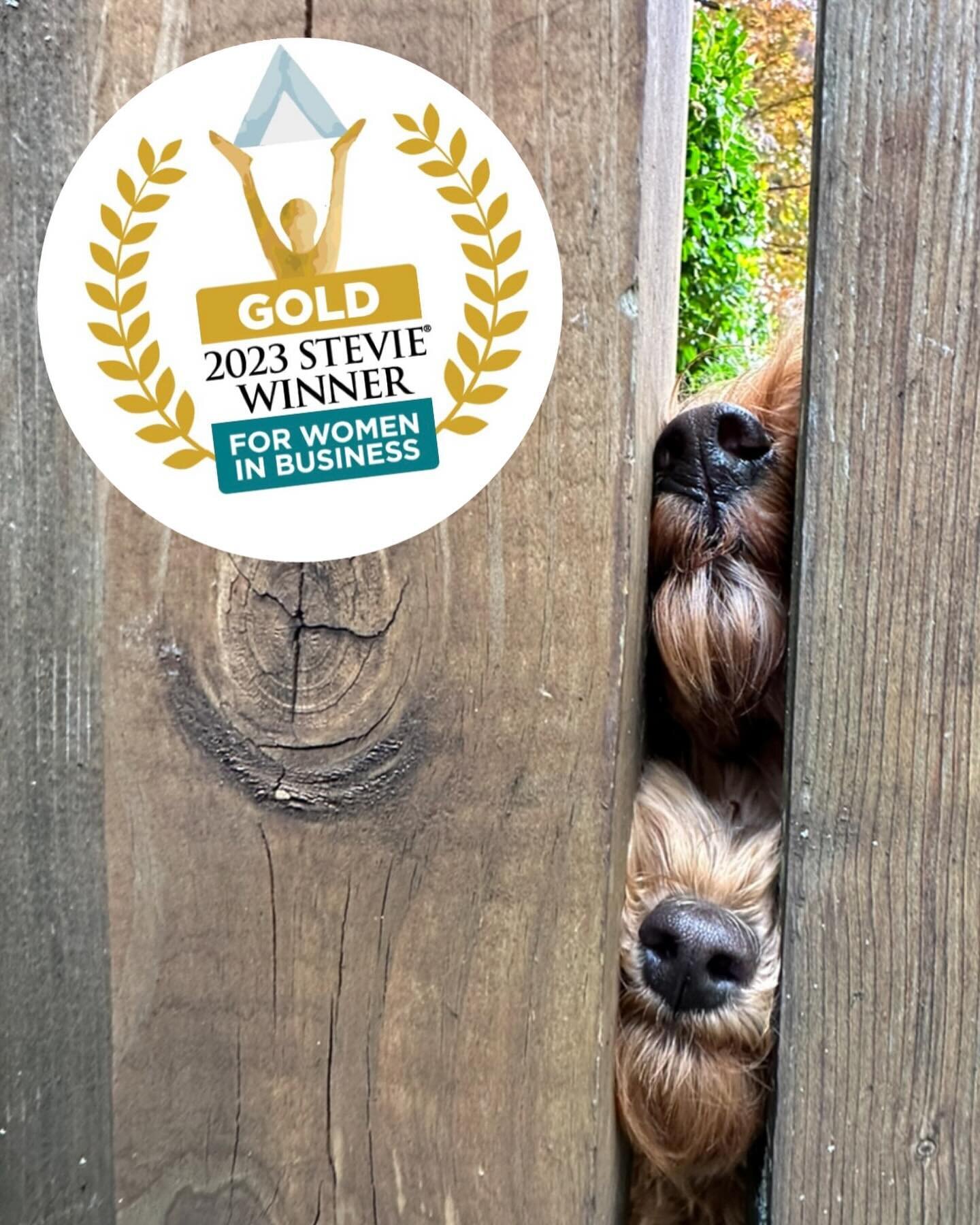 We are honored to be have won a @thestevieawards 
in the catergory for Most Innovative Instagram Feed Made By a Women! The entire team makes such effort to capture each dogs personality through the camera! Not every dog is as easy to capture as Karl 