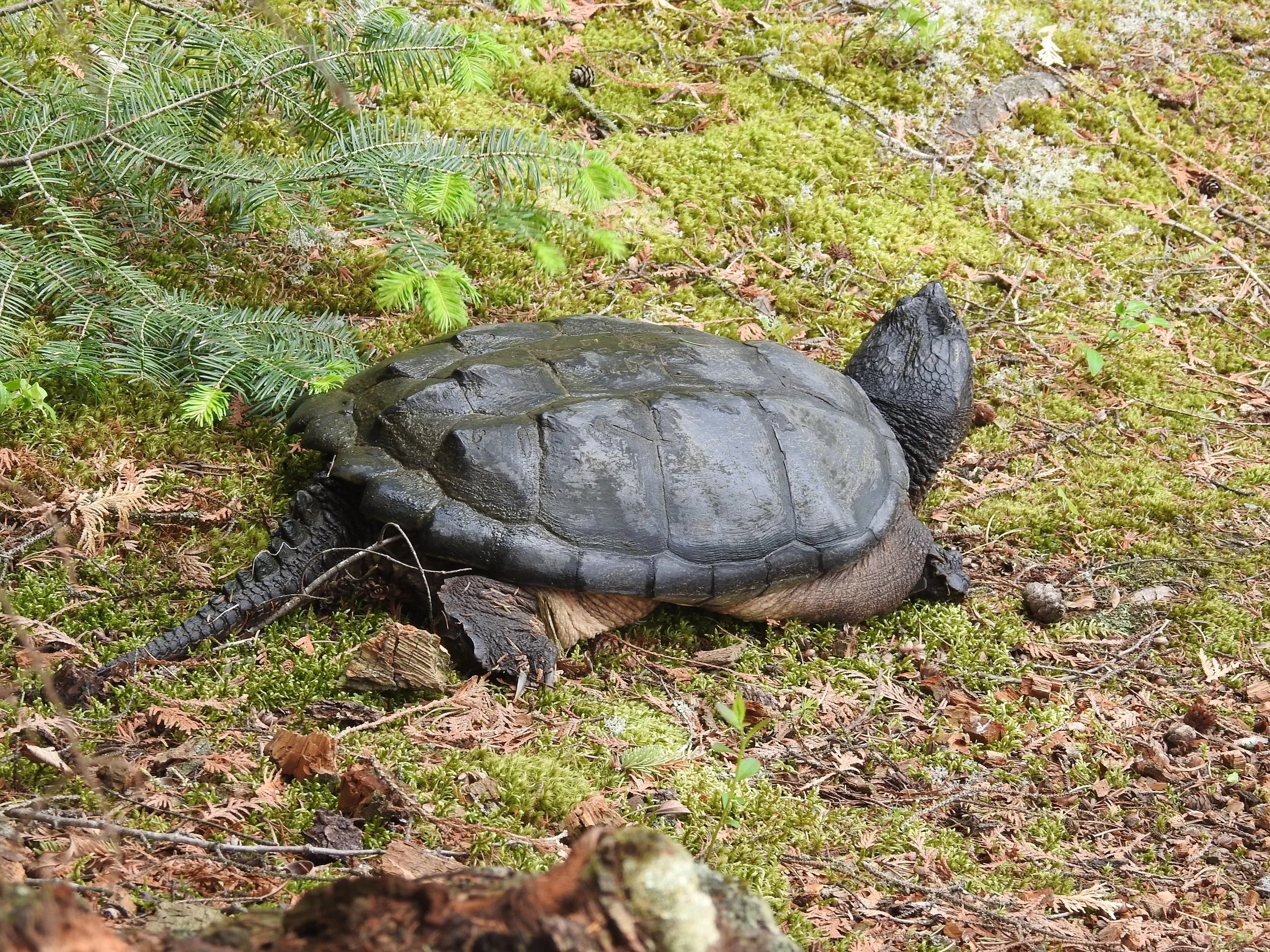 DSCN2355.JPG