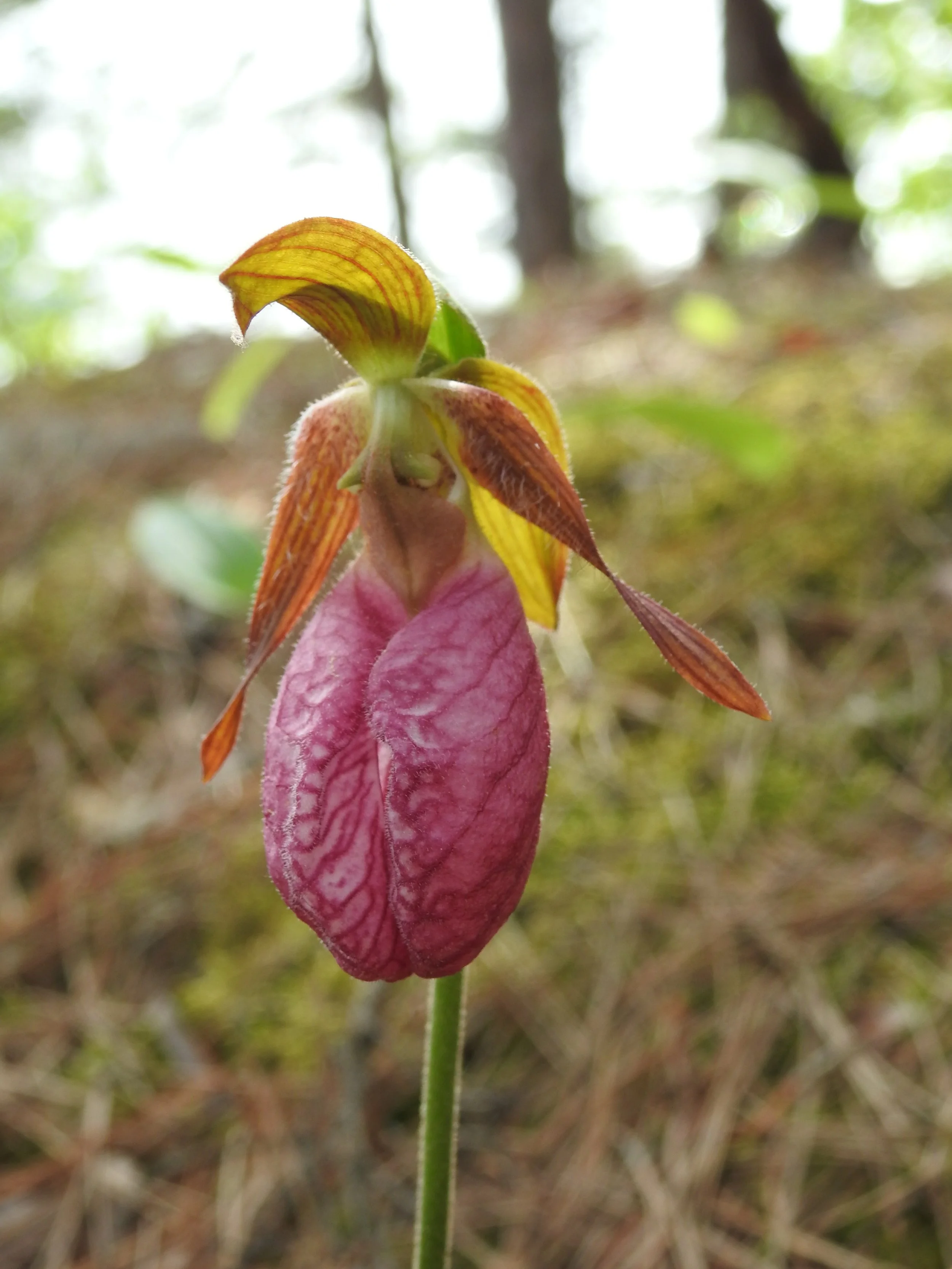 DSCN2405.JPG