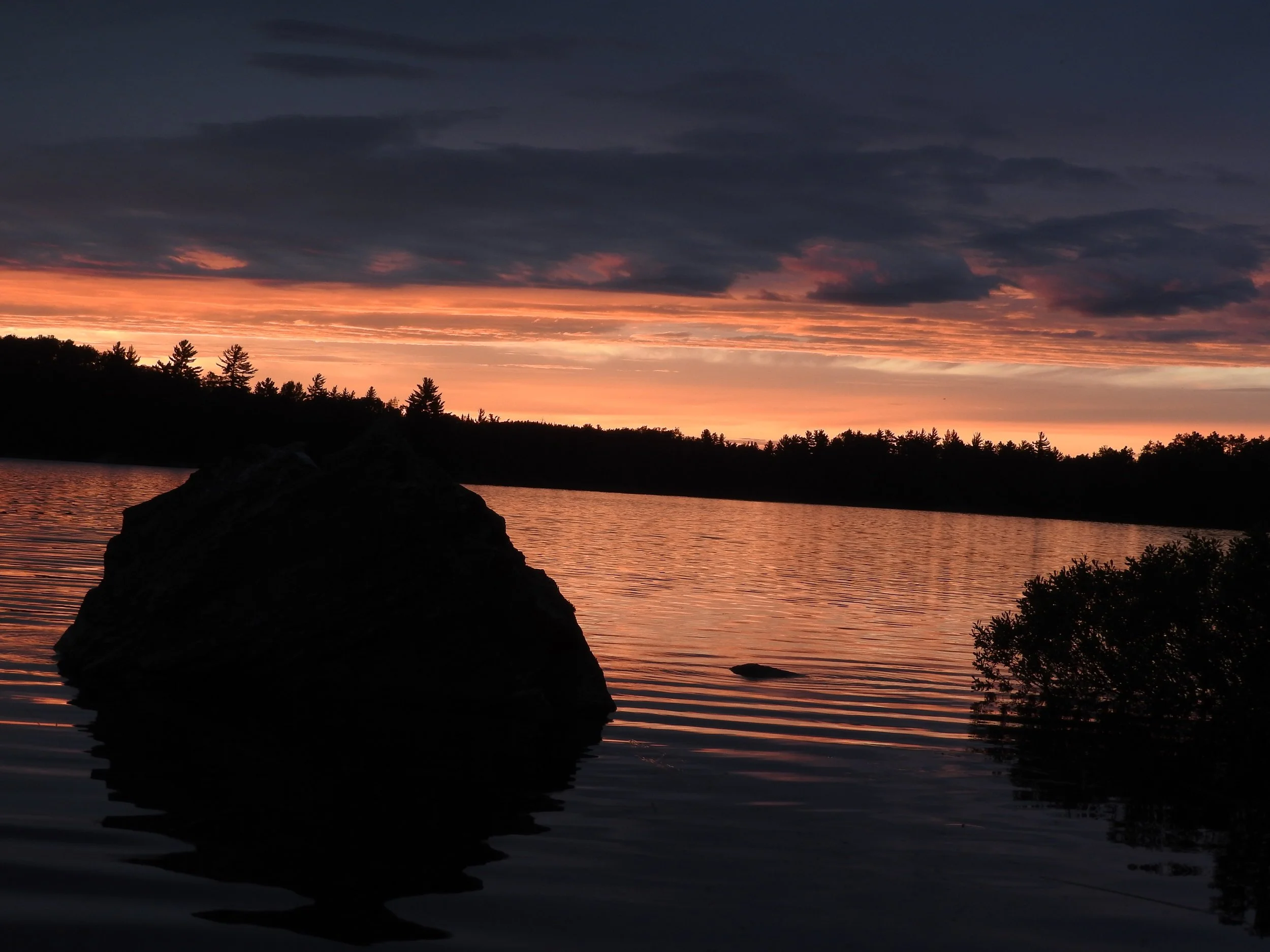 DSCN4610.JPG