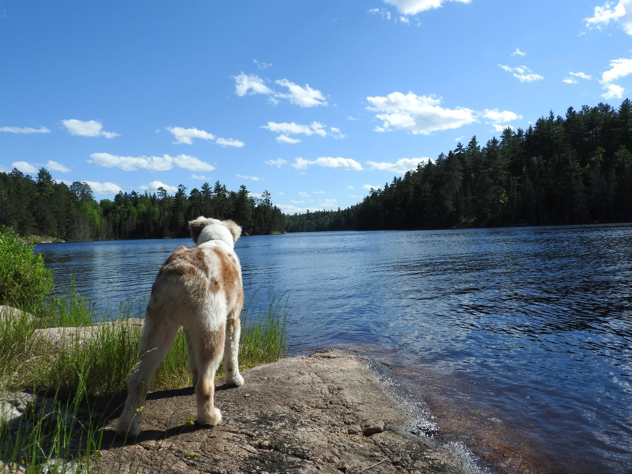 DSCN4490.JPG