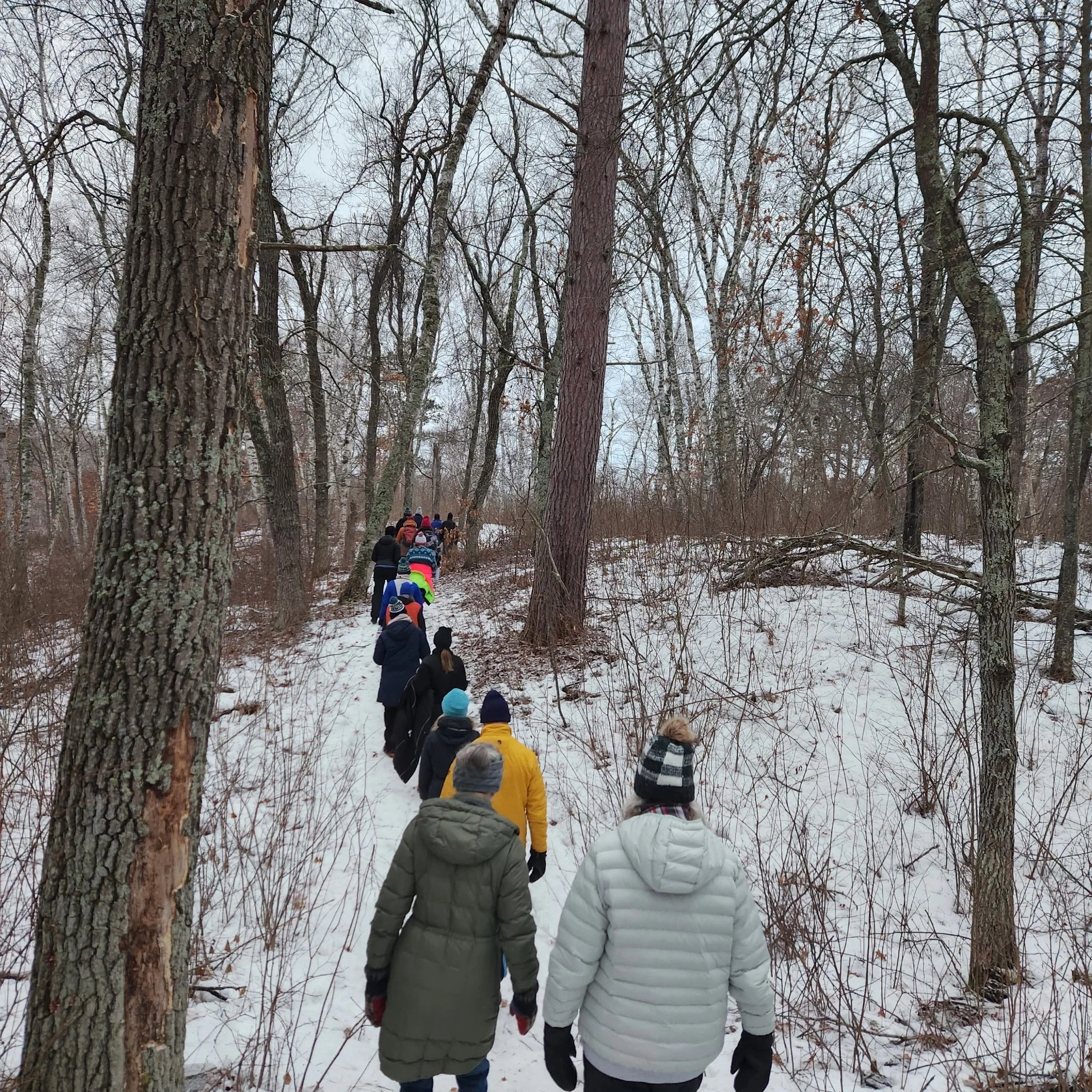 6500845987261768930 2.JPG