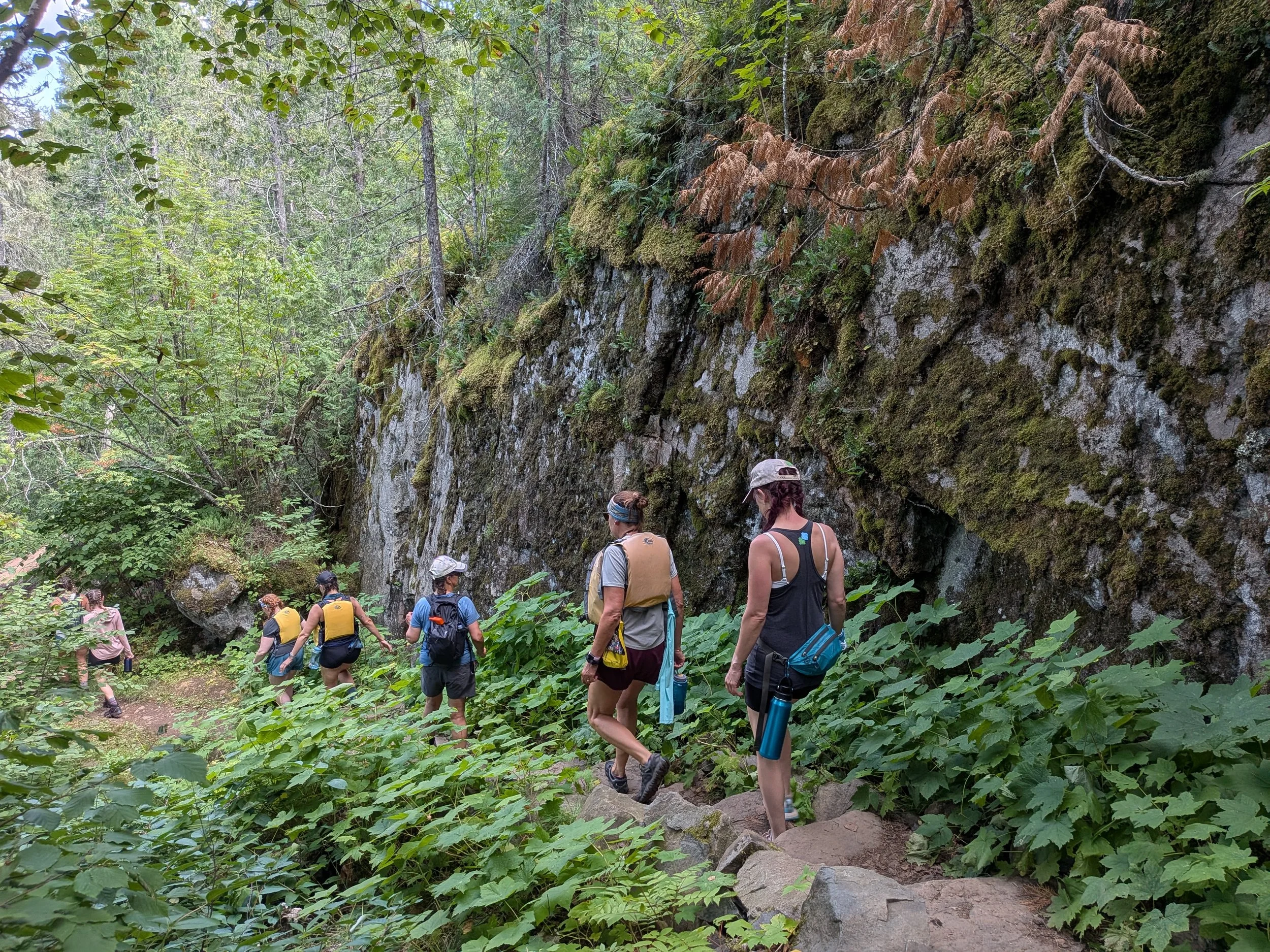 Into the Wilderness: A Boundary Waters Journey with Boreal Bliss