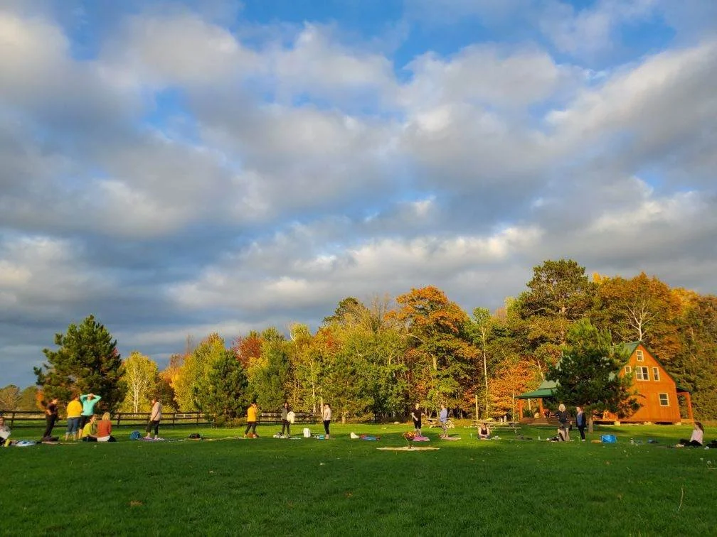 A large group of people practicing yoga outdoors on mats in a grassy field during daytime, with trees and a fence in the background.