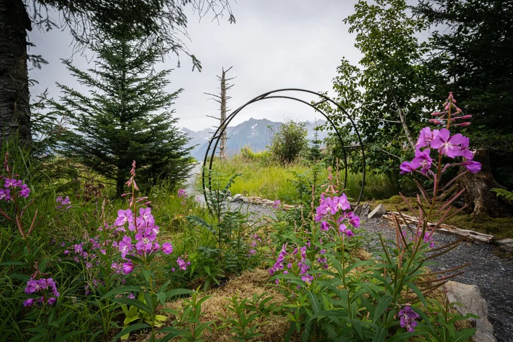 Salted Roots -80.jpg