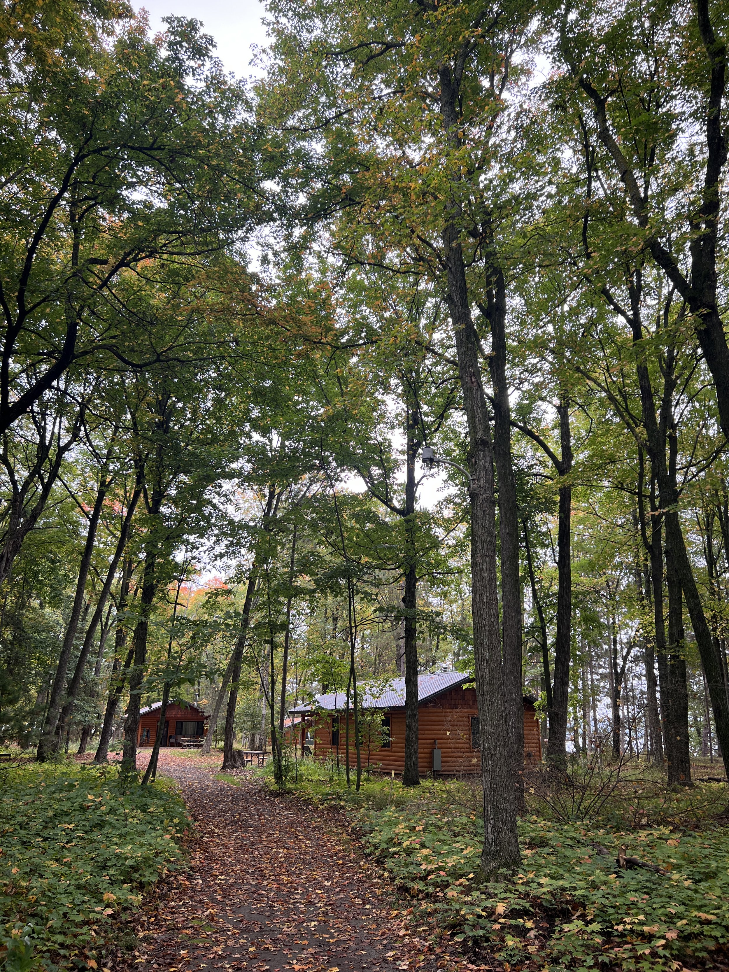 Shared Camper Cabin | Flow Yoga Retreat