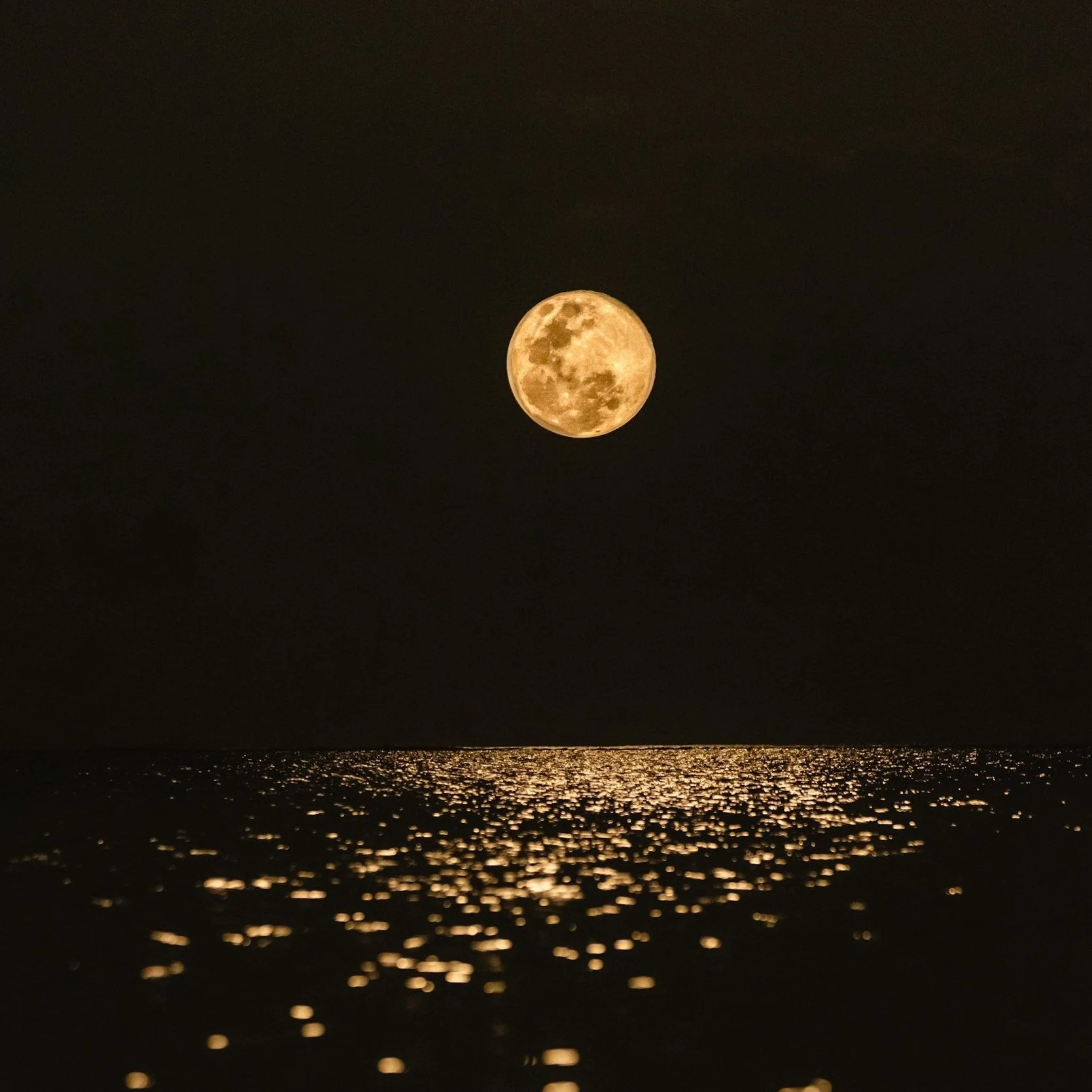 The Moon and the Menstrual Cycle: 2026 Planning Workshop