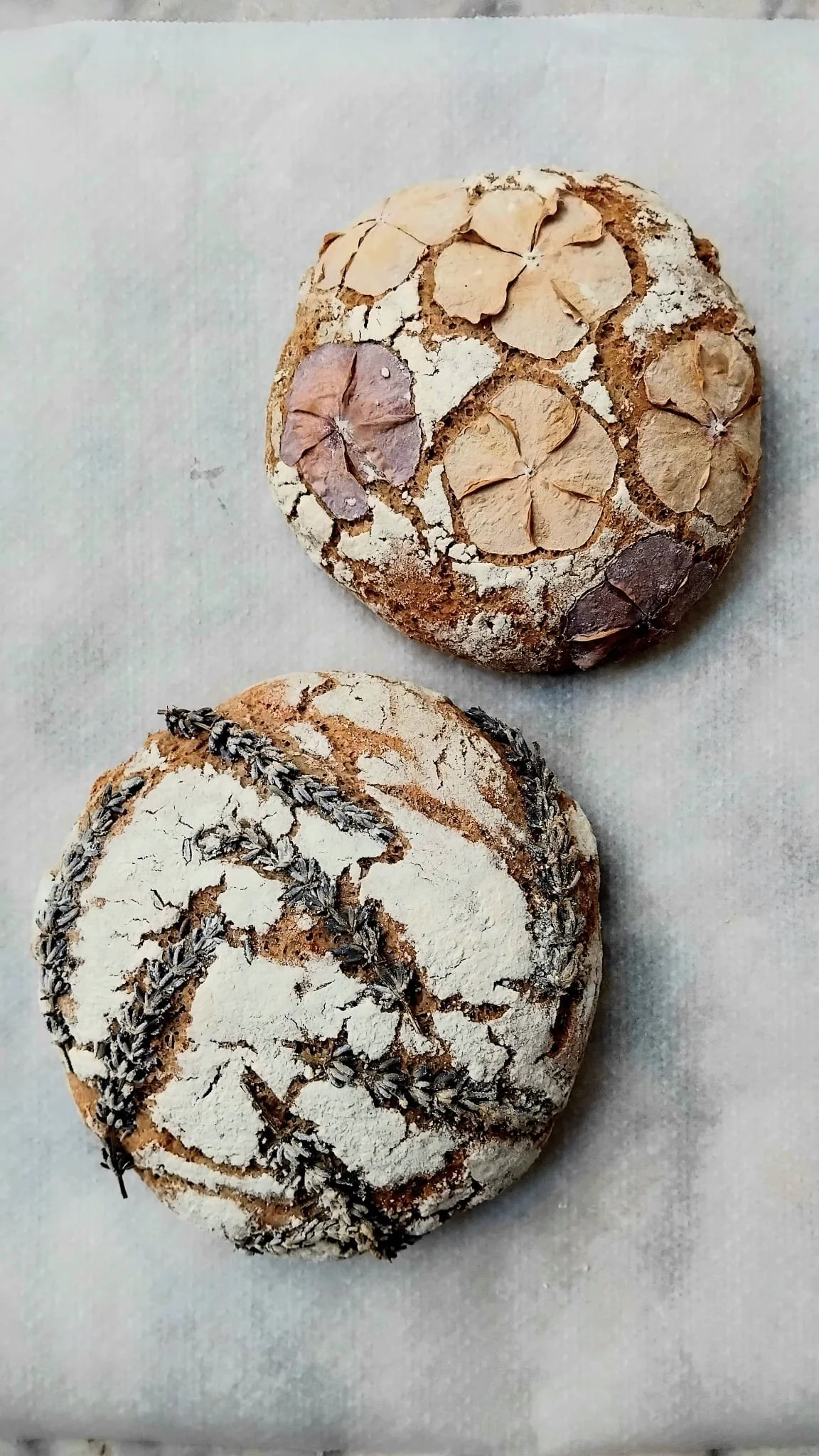 WhatsApp Image 2025-10-27 at 18.11.09 (1).jpeg