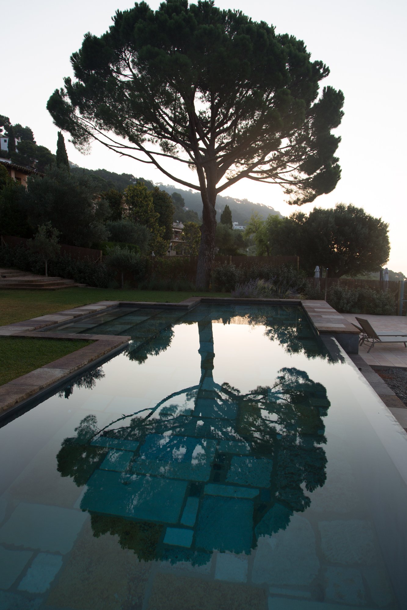 Reflet d'un pin parasol dans l'eau de la piscine de la Villa Pi Blau pendant un stage de yoga en Catalogne, la sérénité du lieu entouré par des éléments naturels pour une immersion totale en pleine nature.