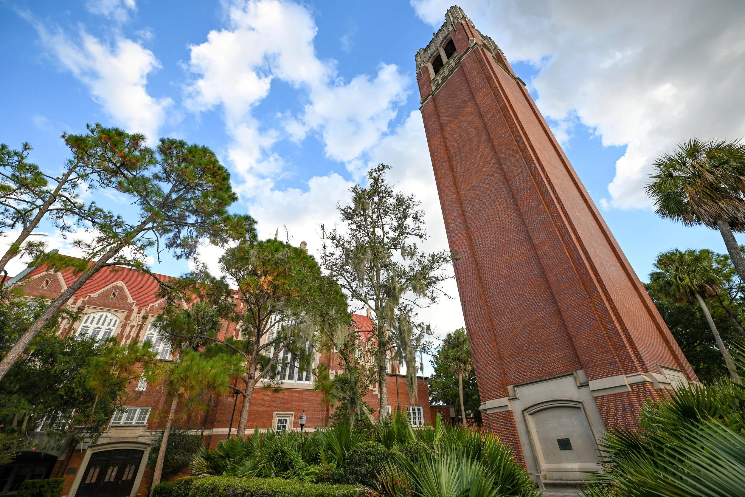 UF Century Tower.jpeg