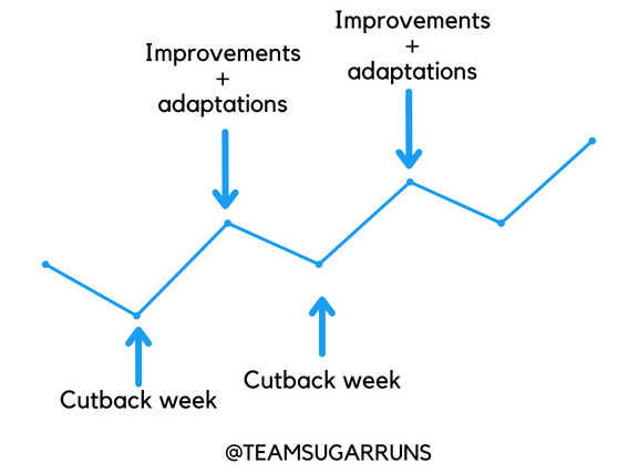 The Importance of Cutback Weeks in Running Training: Enhance ...