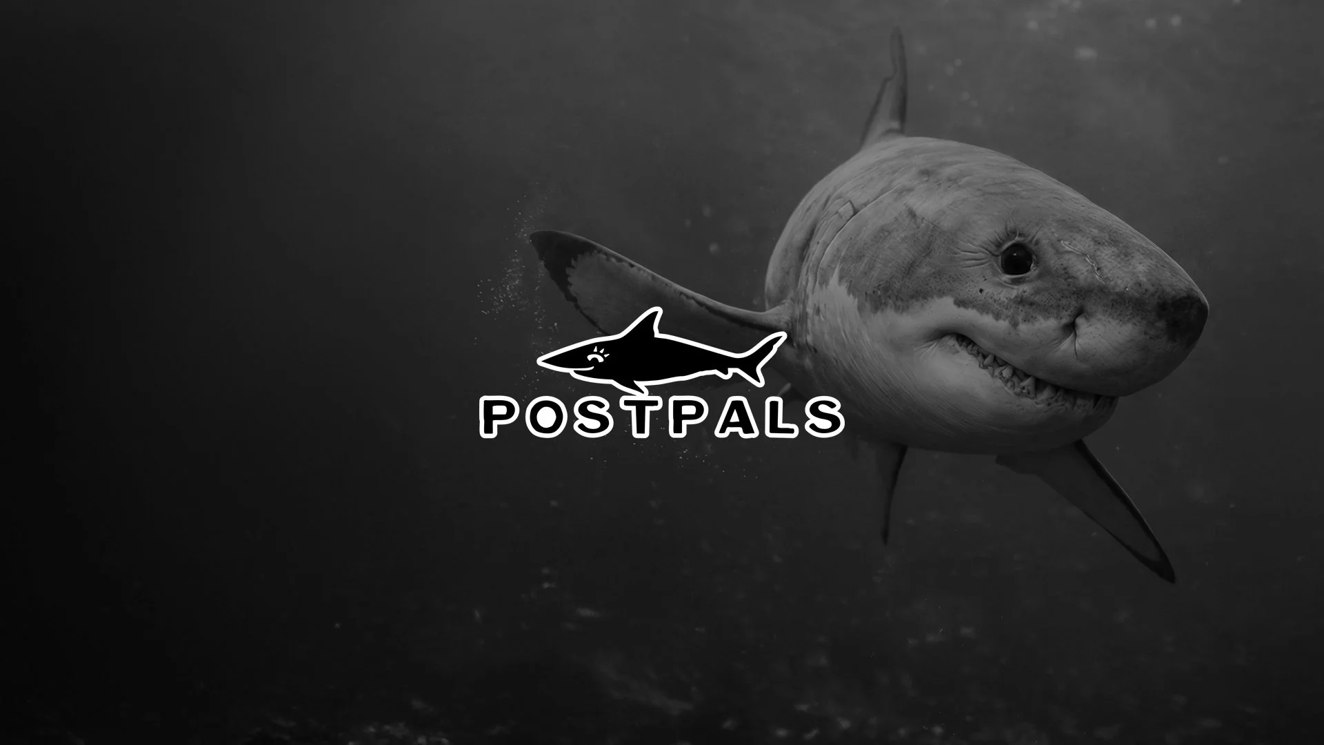 PostPals.jpg
