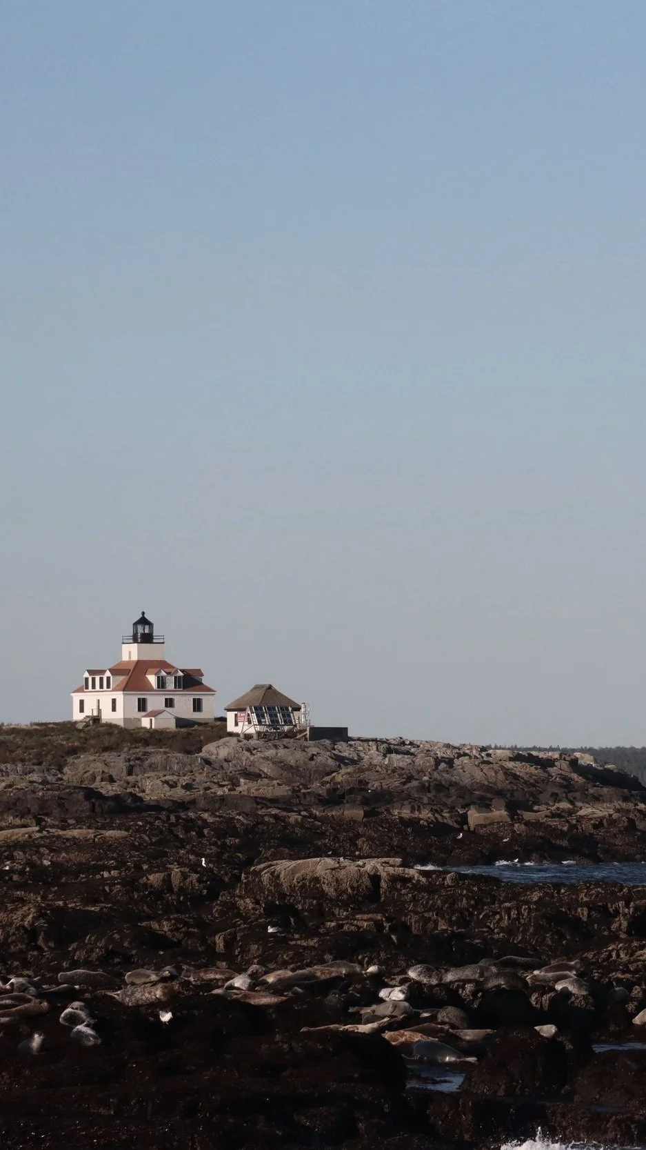 Northern Maine landscape — Northern Maine Skin Cancer Center serves patients across northern Maine