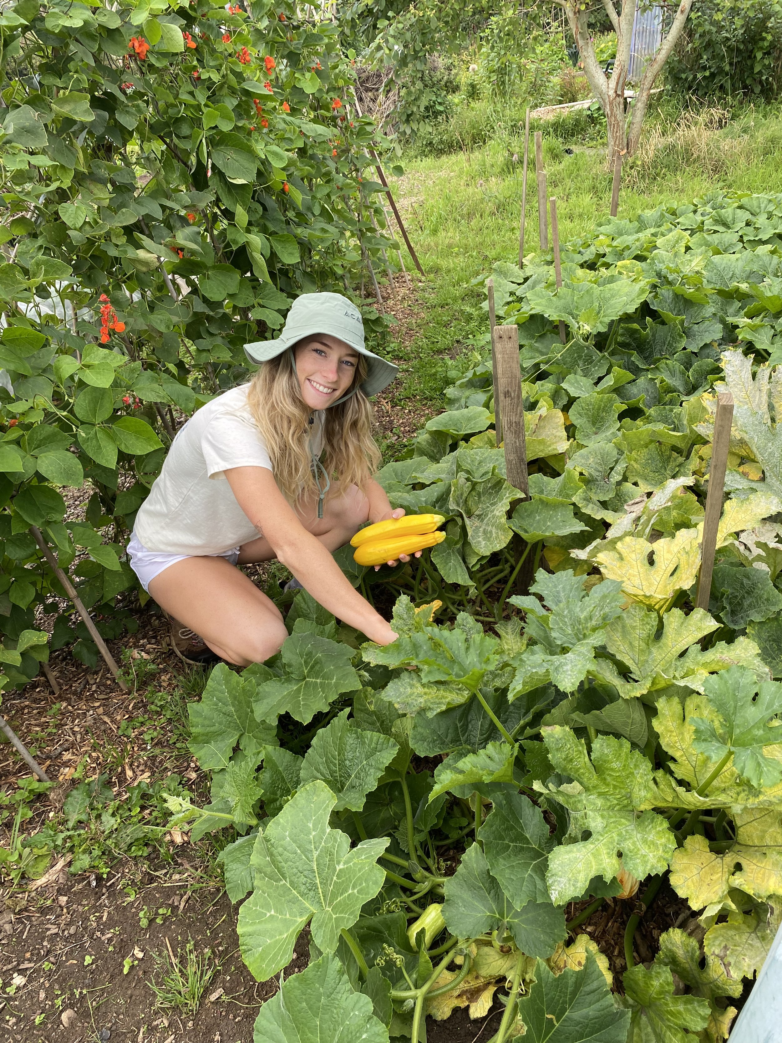 The Garden Made for a Beginner