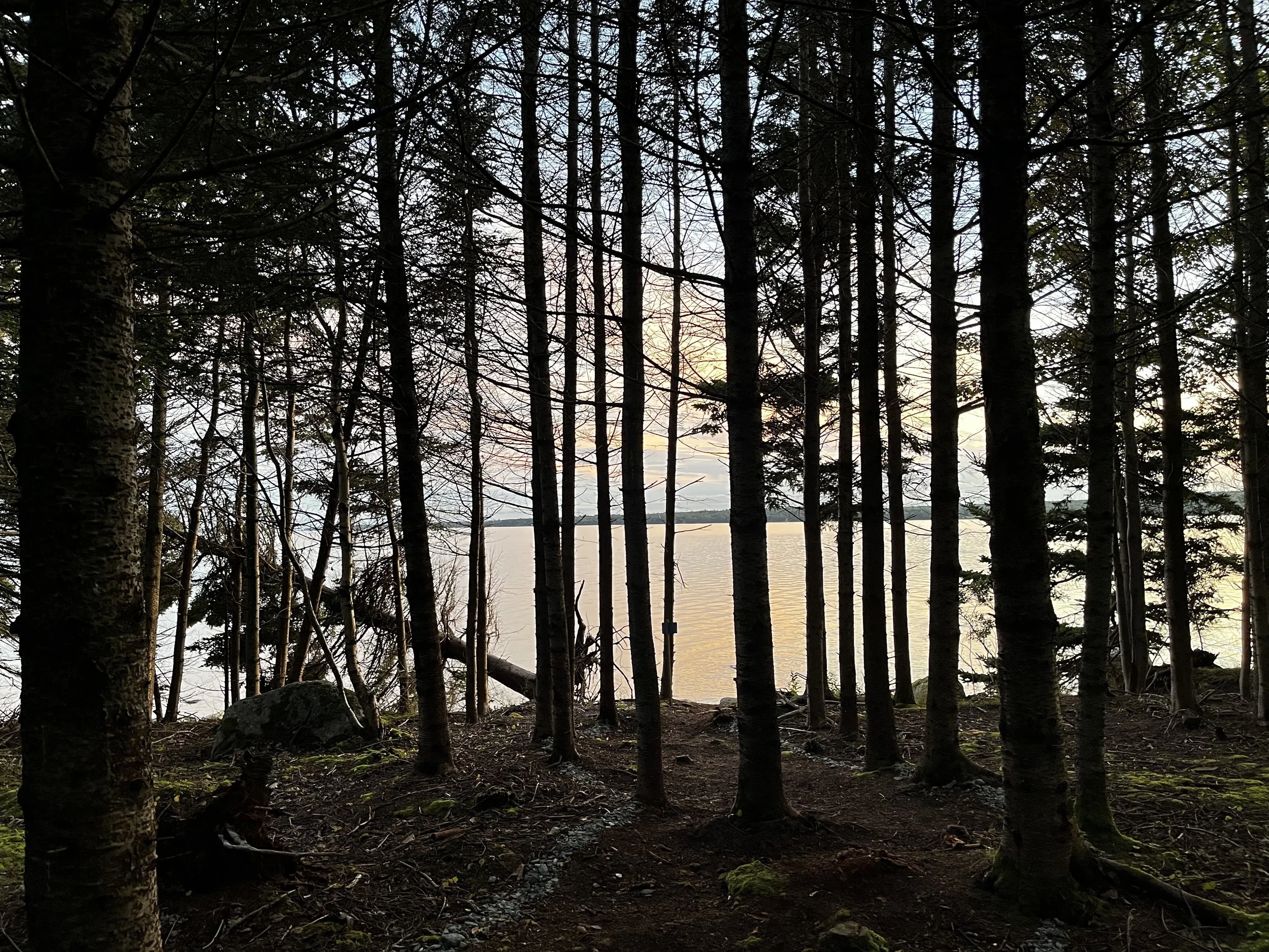 Under Canvas, Acadia:  Tucked into the tree line and completely off the clock.