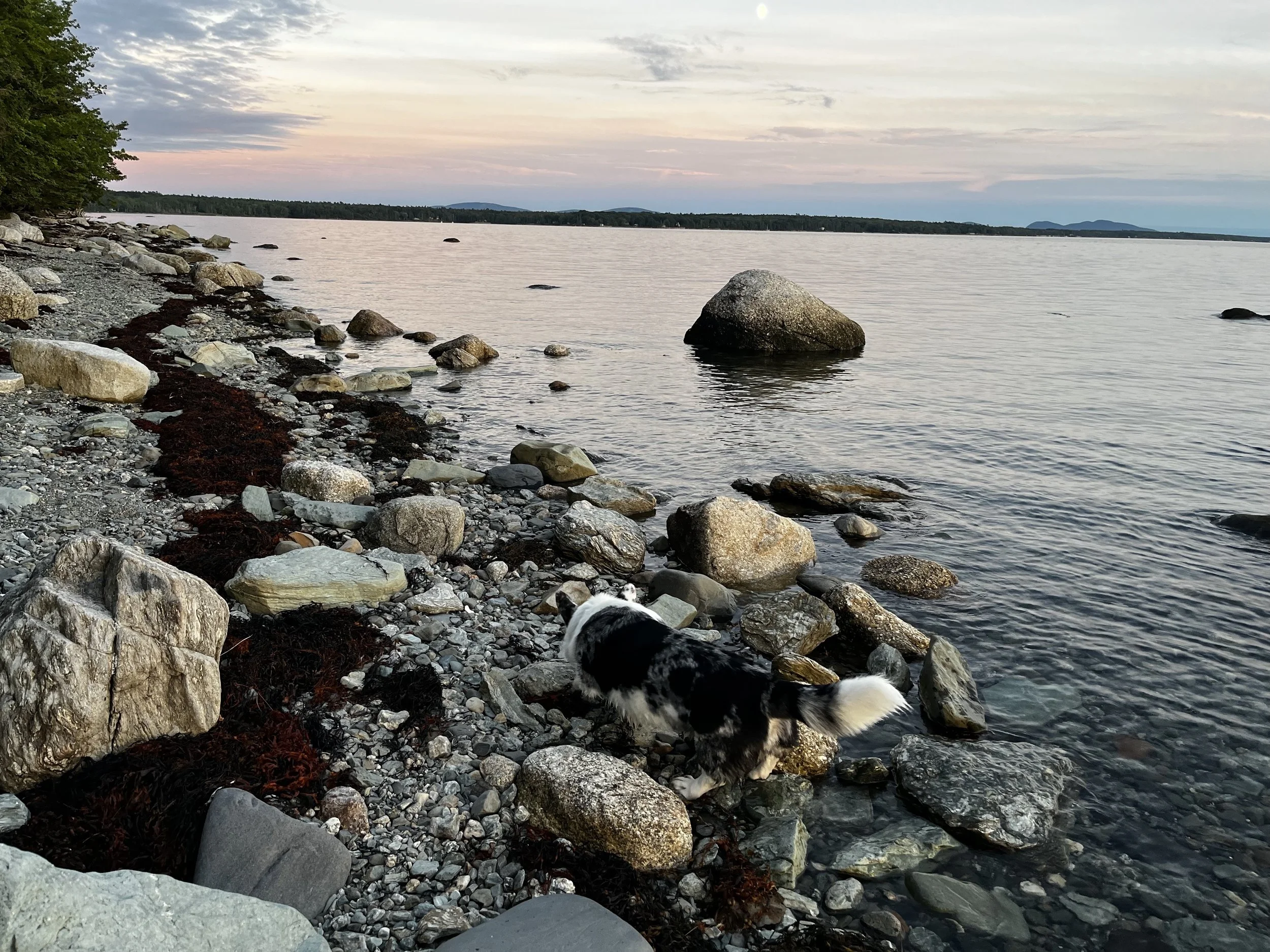 Under Canvas, Acadia:  Still water, still mind.
