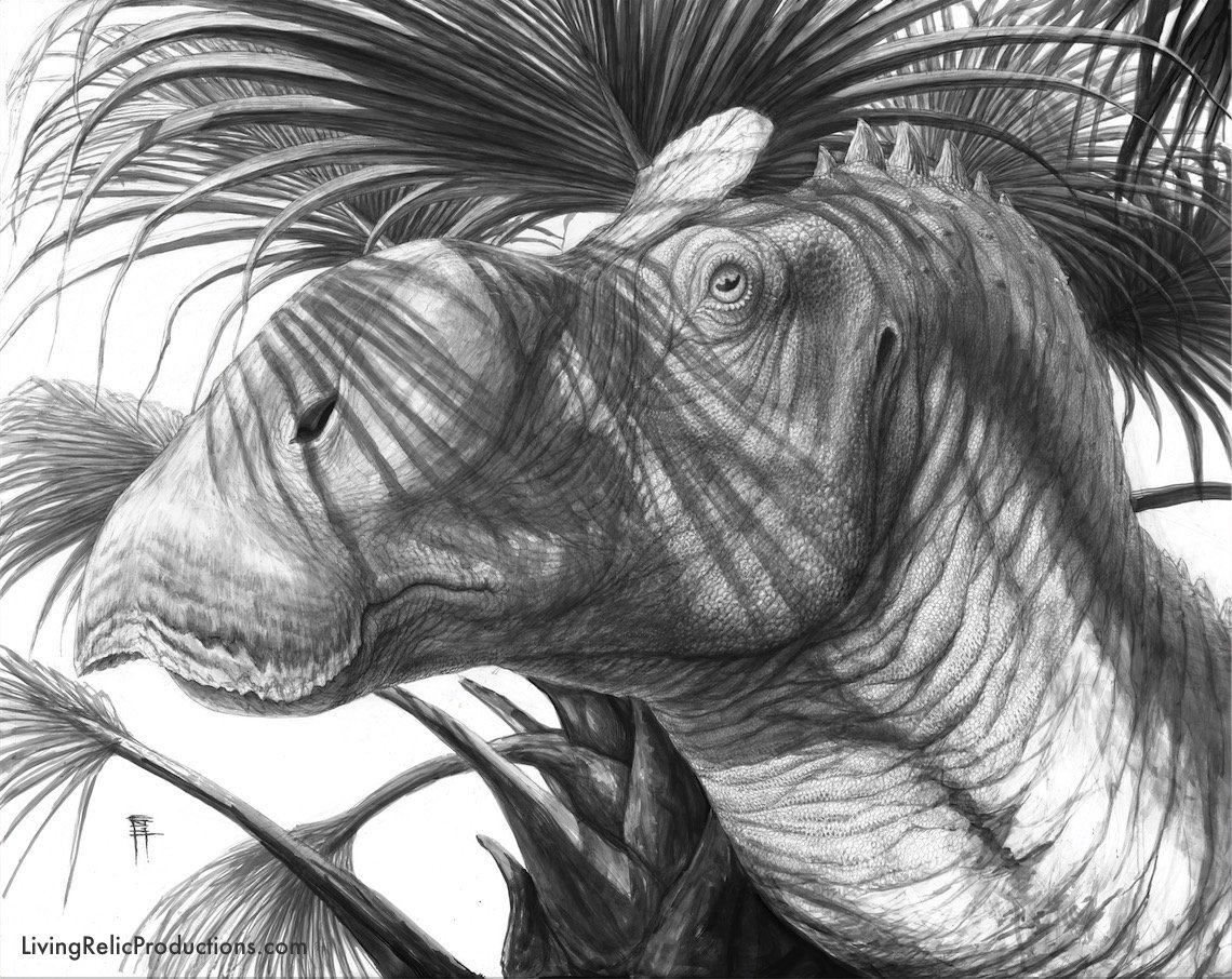 ornatops grayscale.jpg