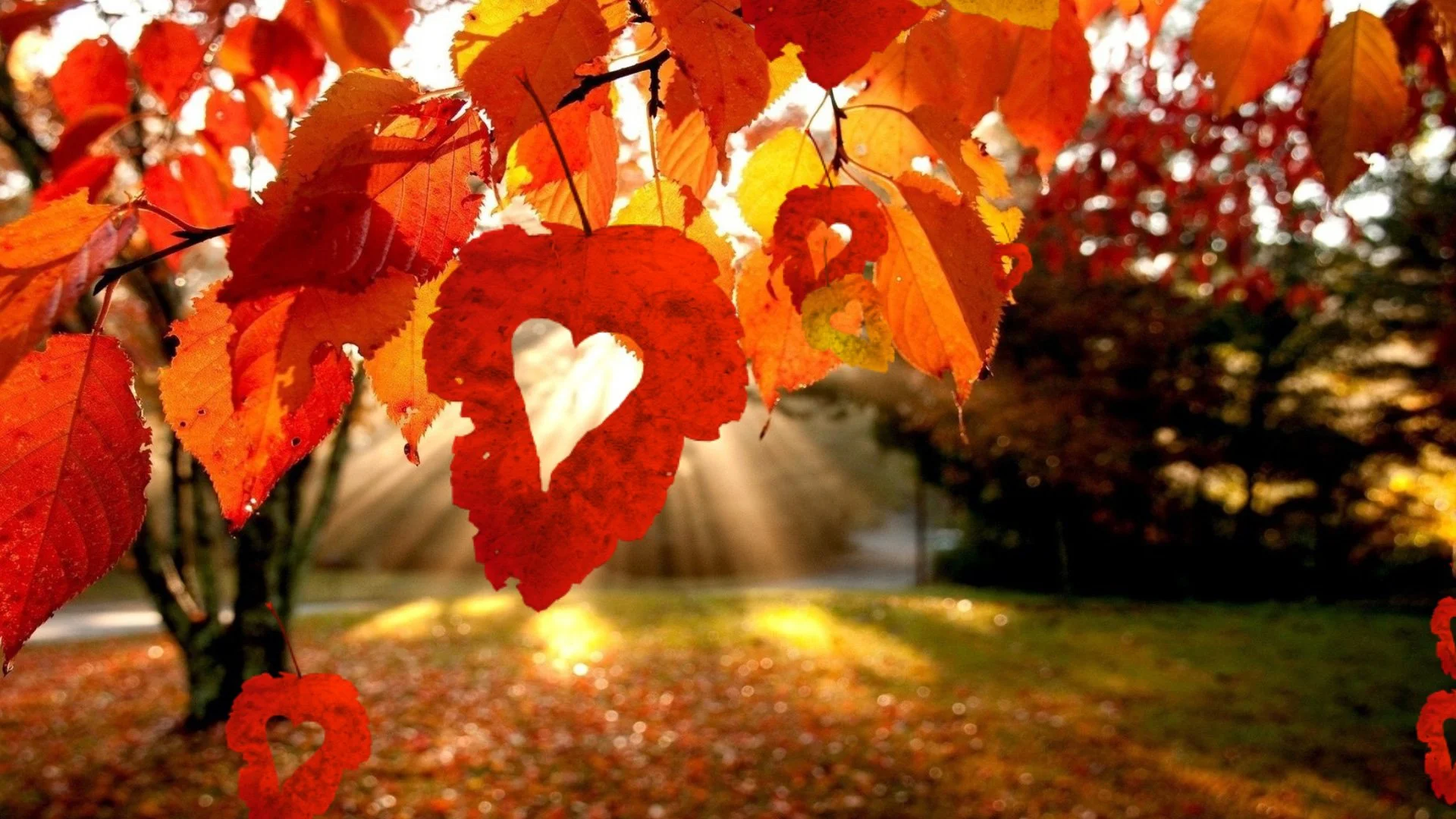 Fall for Creativity! 2025