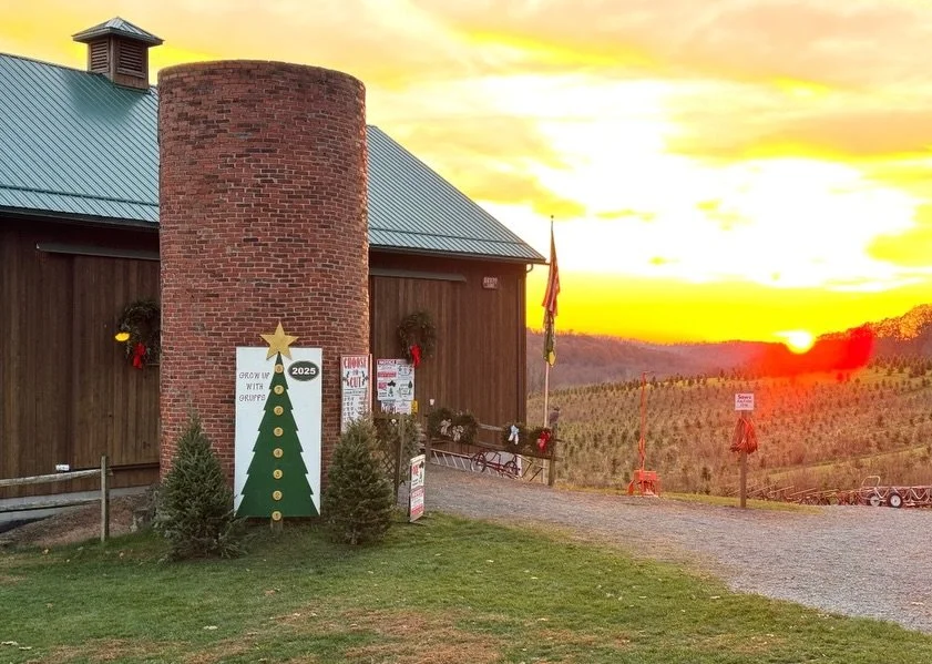 🎄✨ @grupps_christmas_trees is officially open for the 2025 Christmas Season! ✨🎄

Founded in 1982 with 5,000 saplings and a whole lot of determination, Jack and Nancy Grupp &mdash; along with their children &mdash; have grown this true family busine