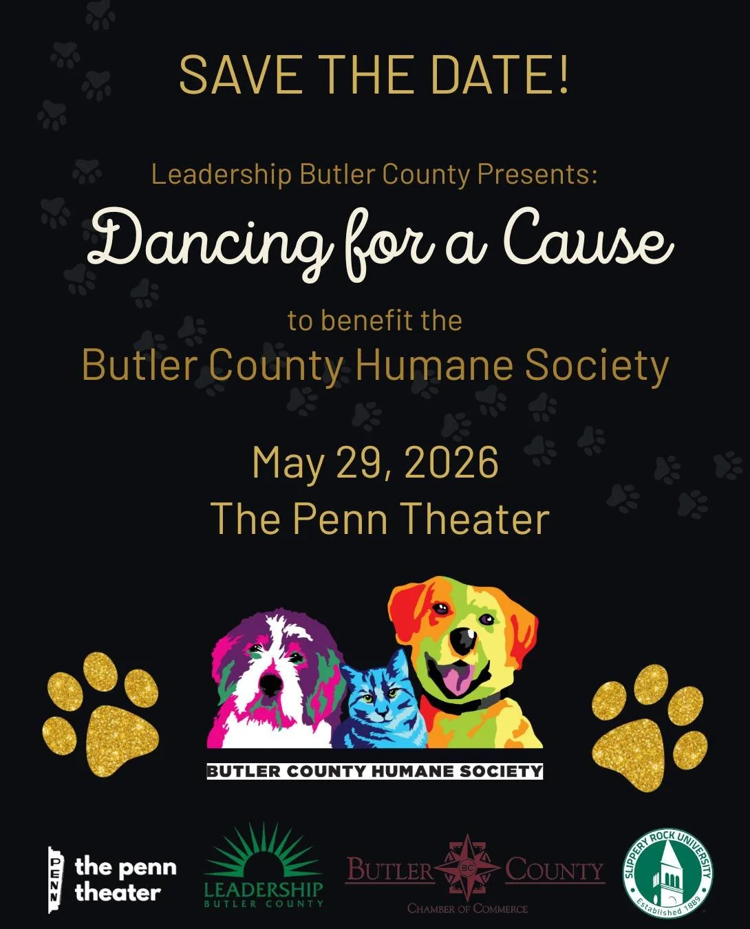 Dancing For A Cause Individual Ticket