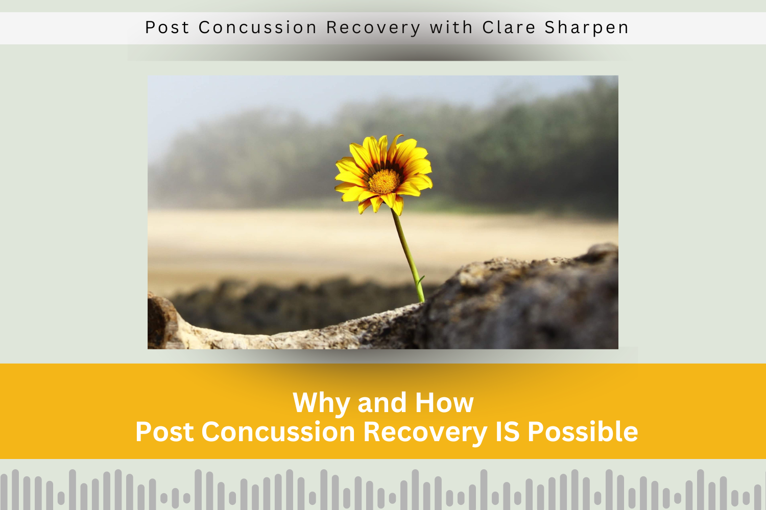 Recovery IS Possible