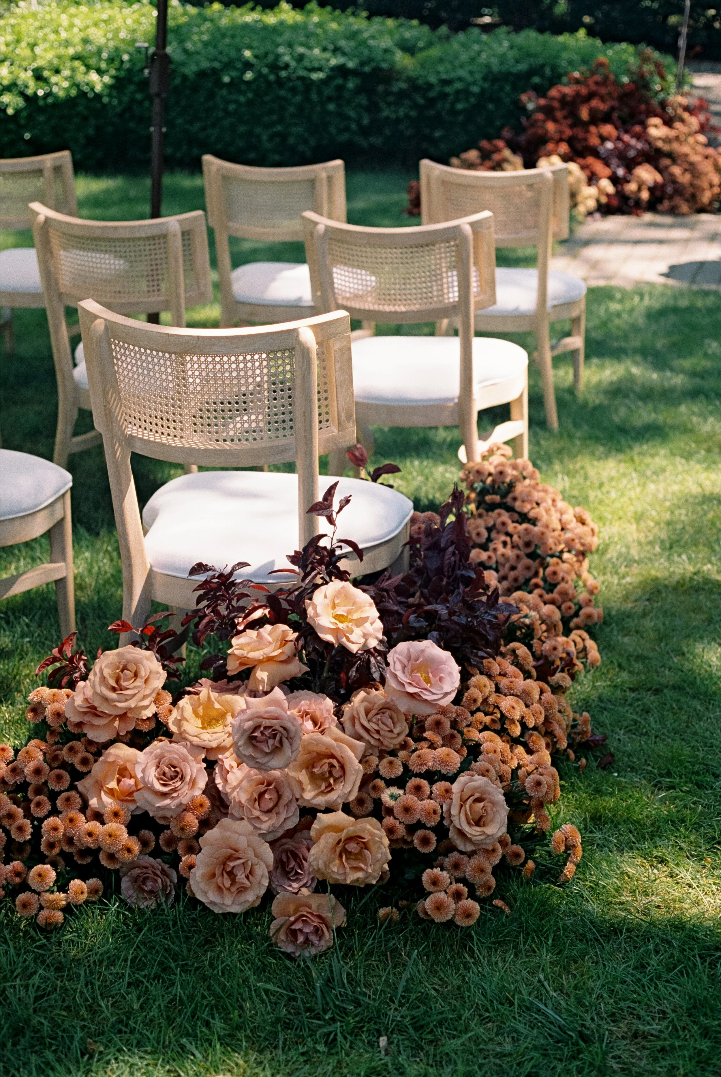 Empty cream-colored chairs arranged outdoors in a garden with pink roses and small peach-colored flowers at the Madrona in Southern California.